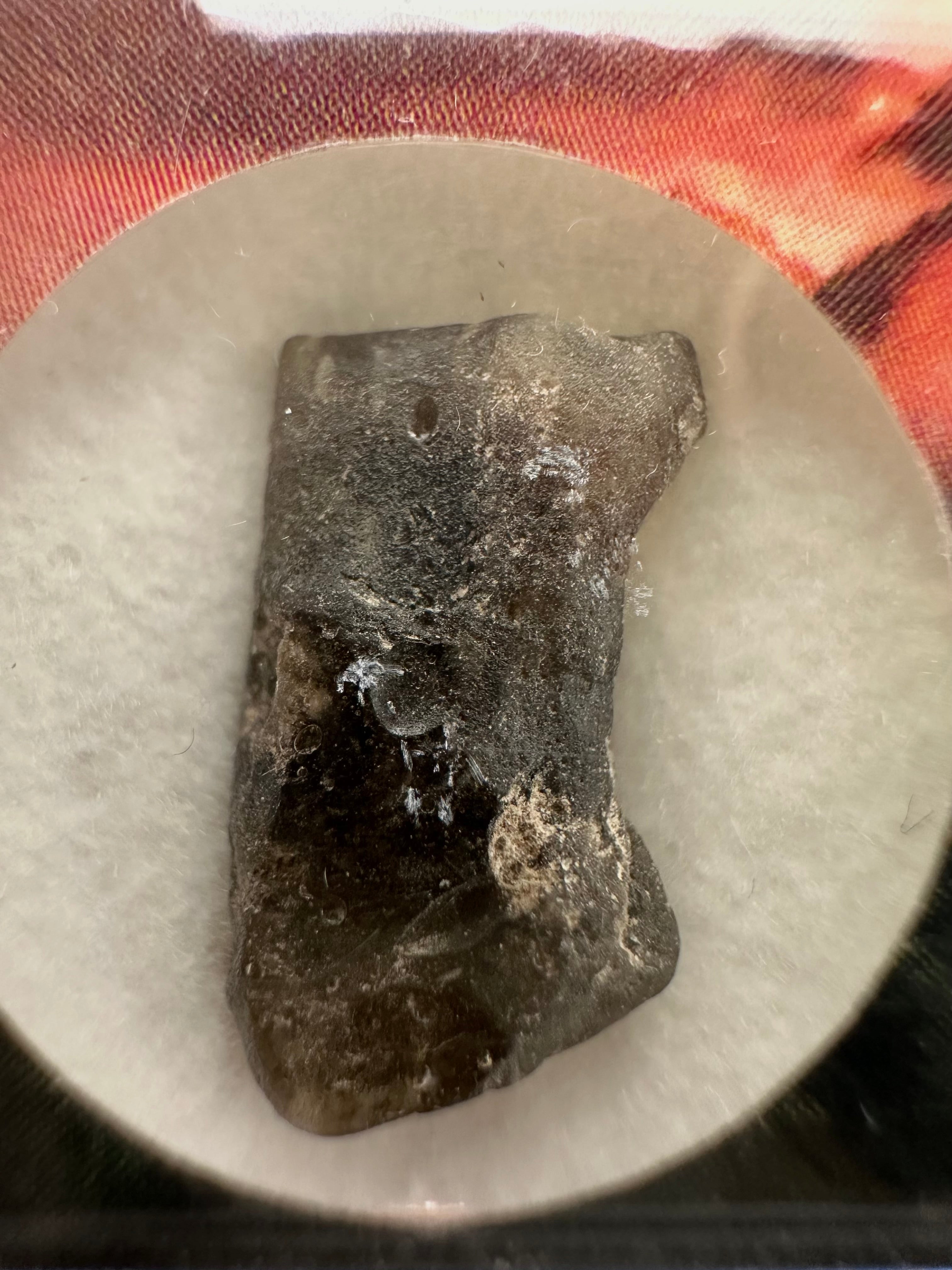 Darwin glass in box – Queenstown, Tasmania - DW036