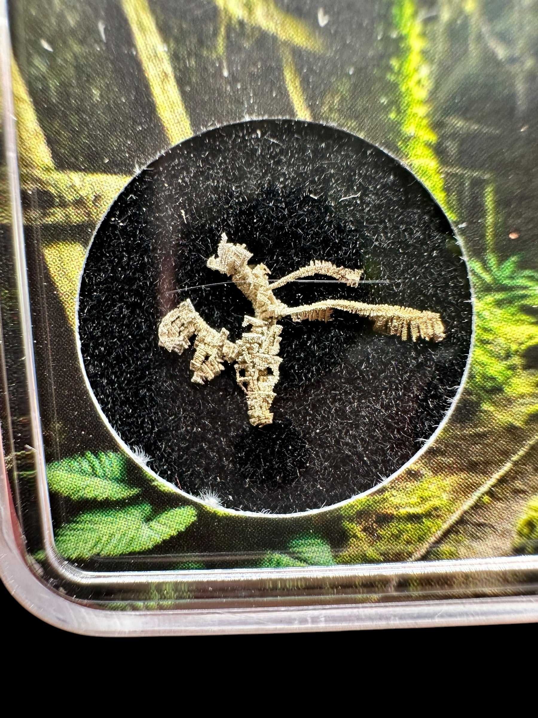Silver in box – Dul Svornost, Jachymov, CZ - RS014