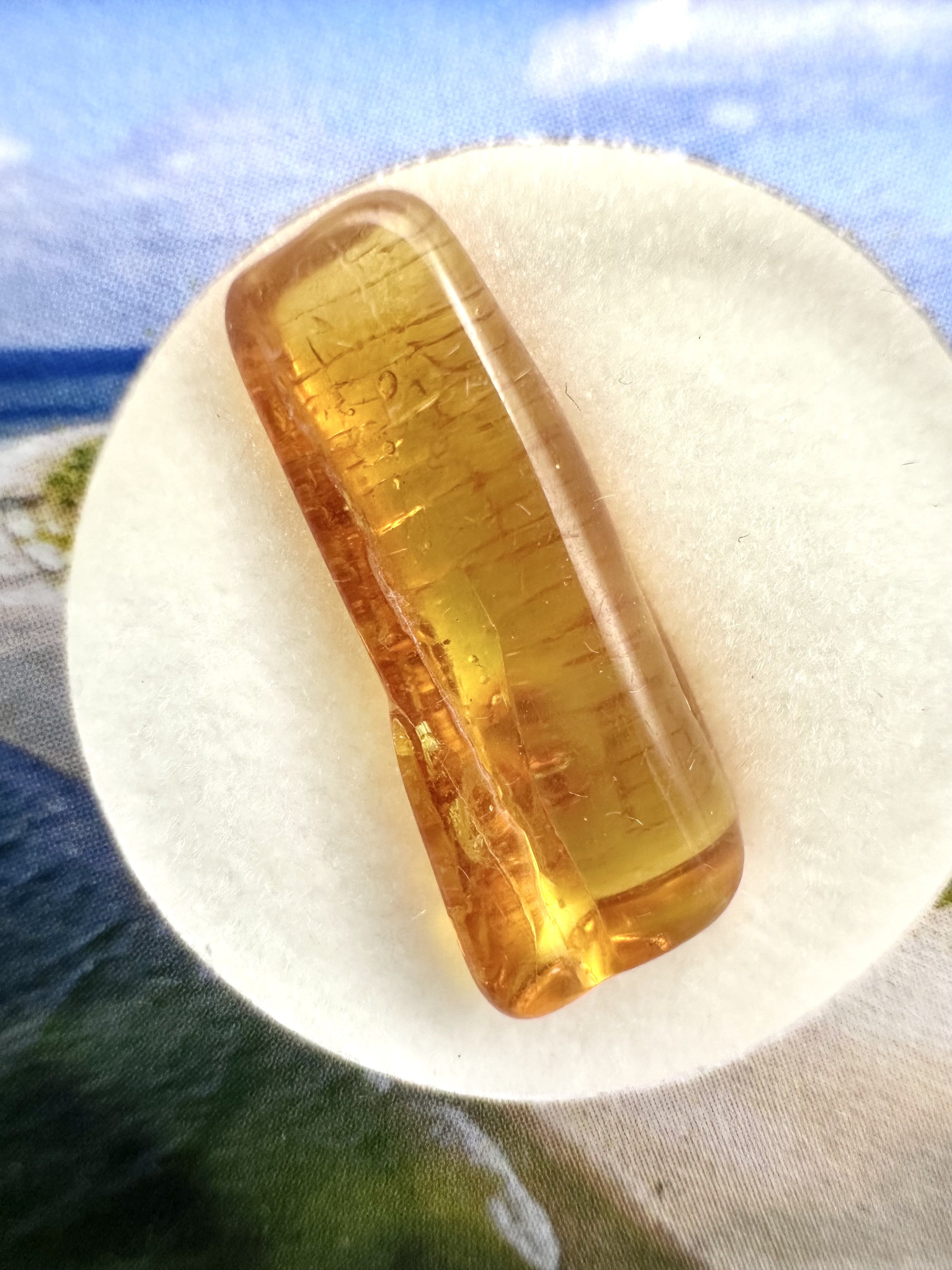 Amber in box – Lithuania - JN155
