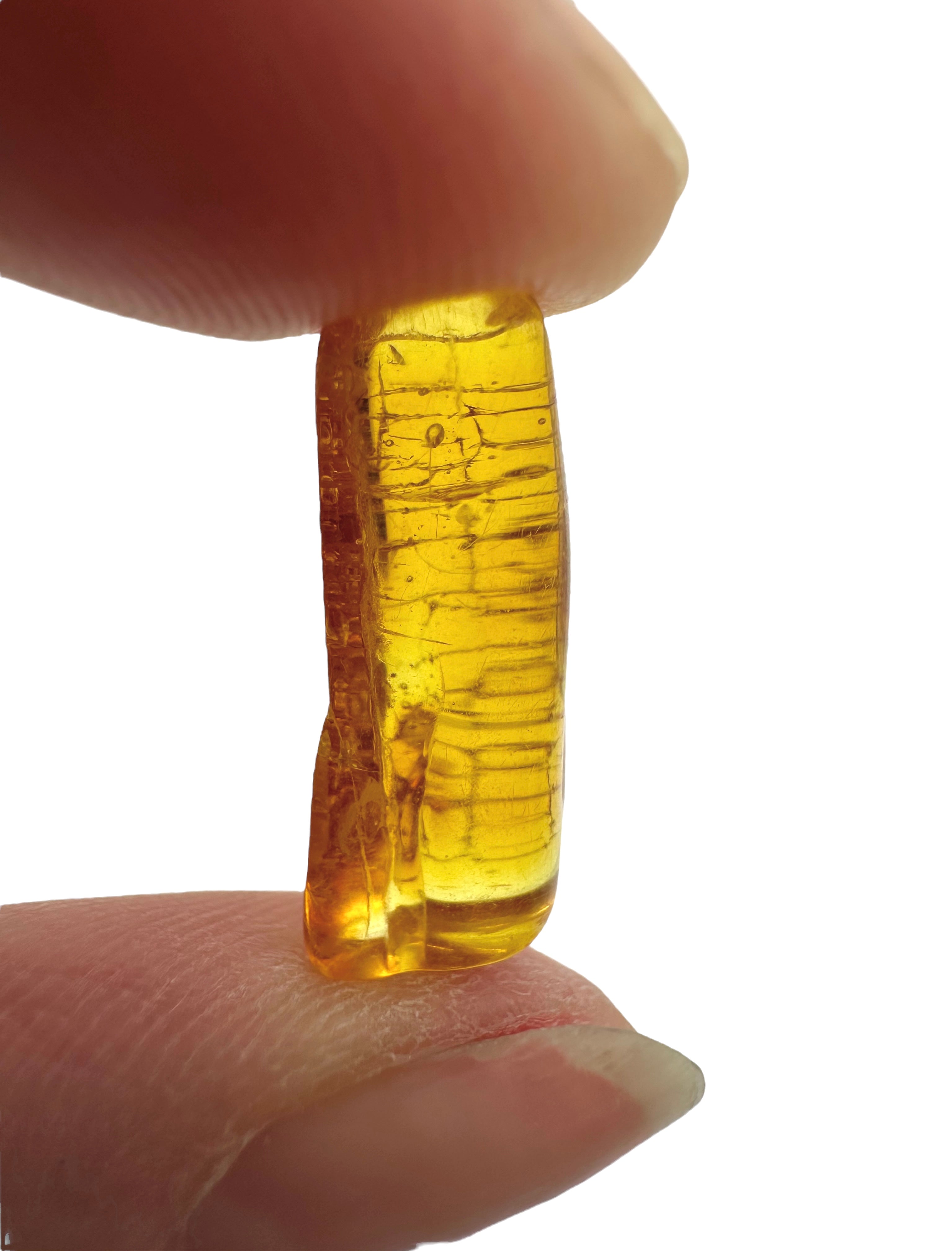 Amber in box – Lithuania - JN155