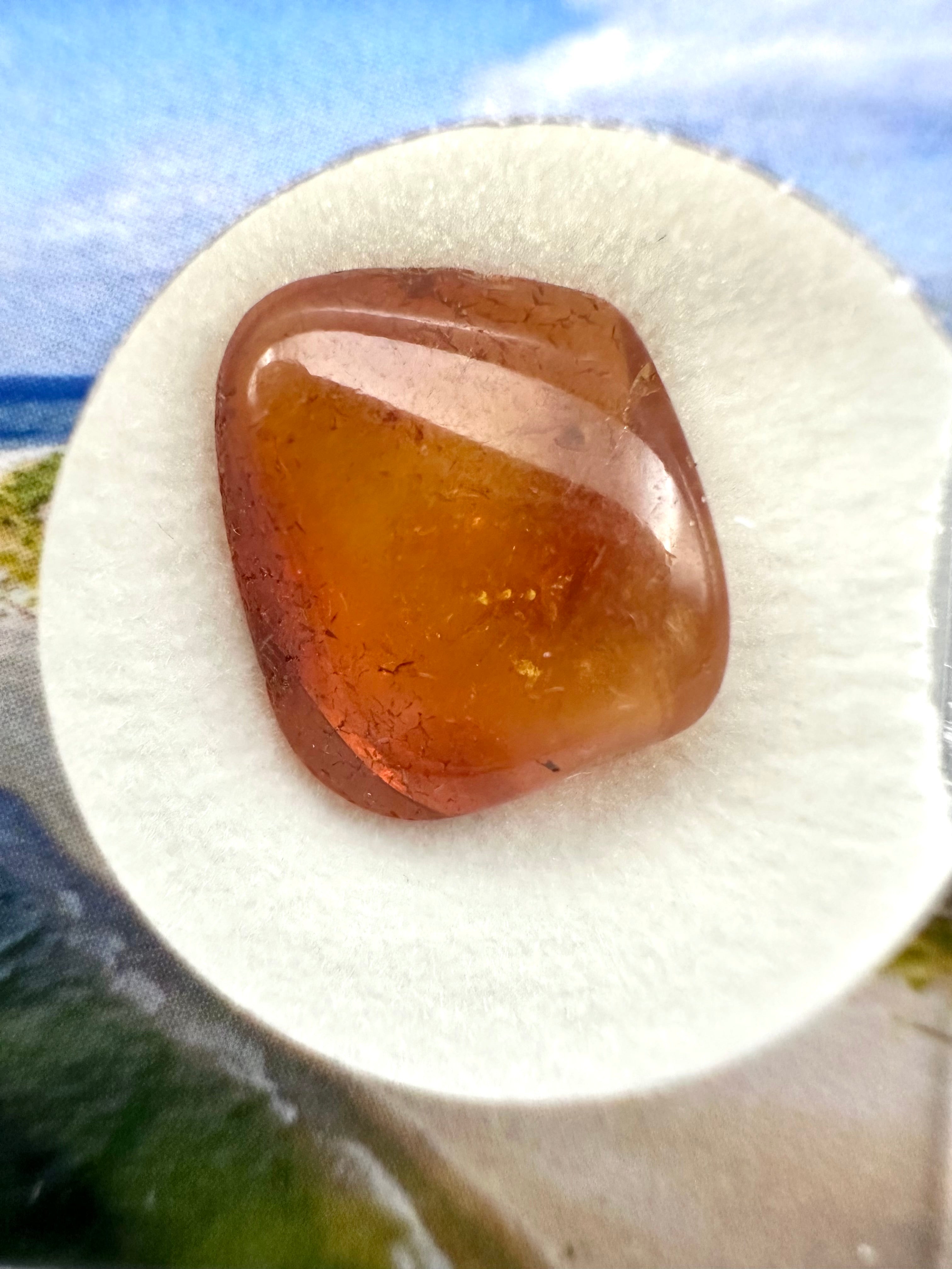 Amber in box – Lithuania - JN156