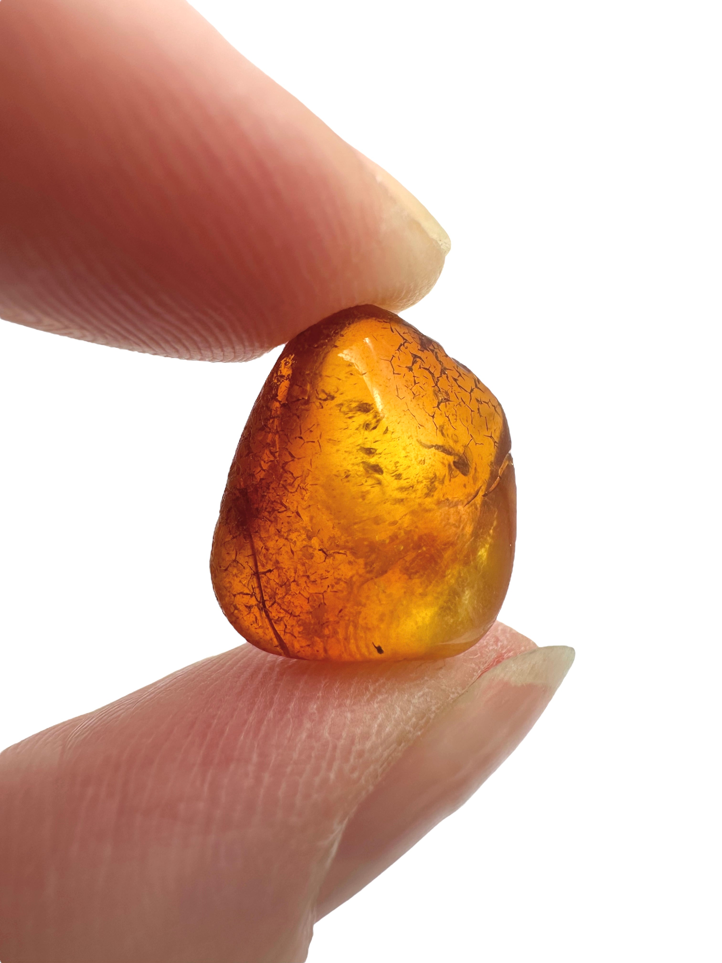 Amber in box – Lithuania - JN156