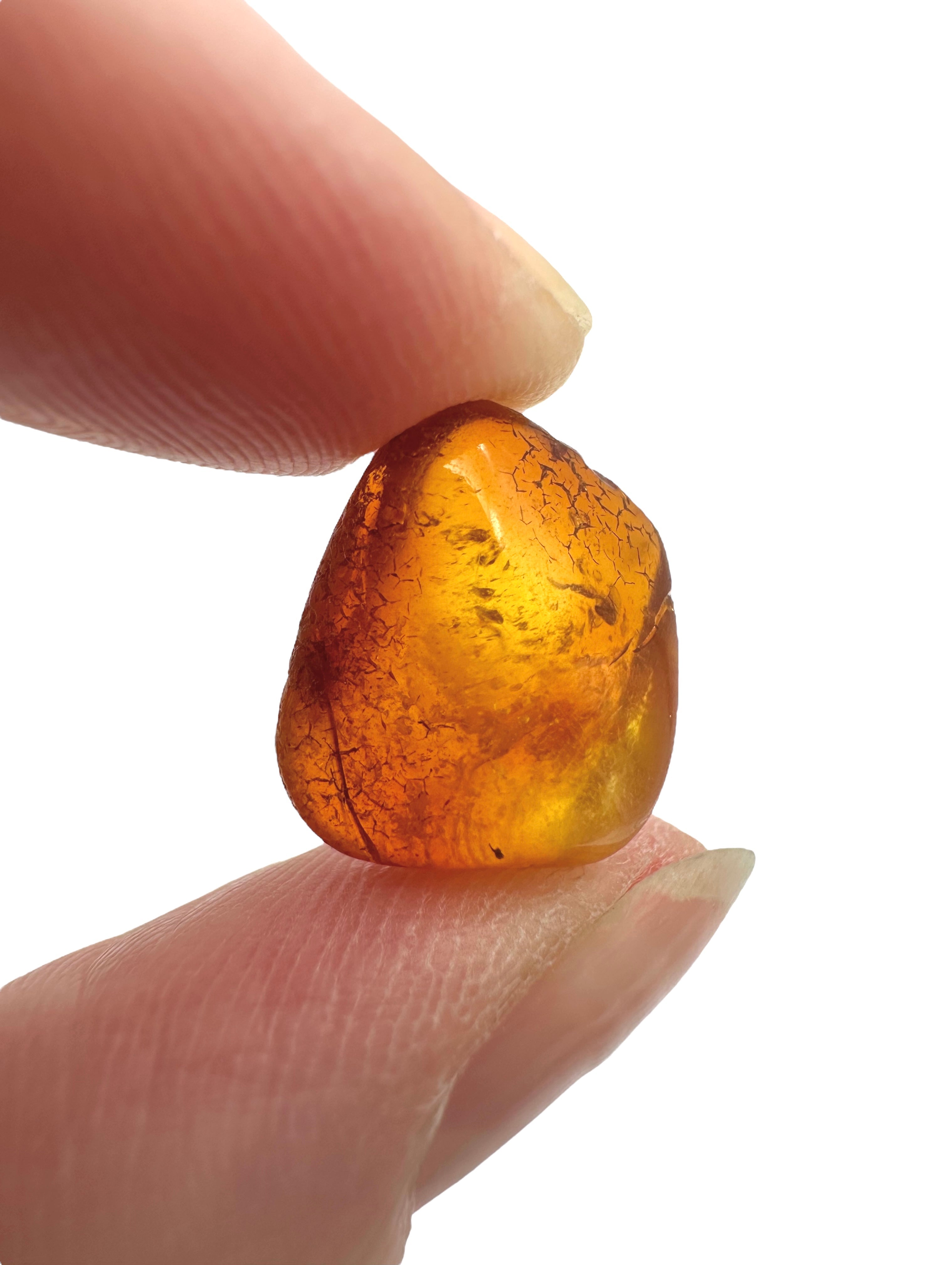 Amber in box – Lithuania - JN156