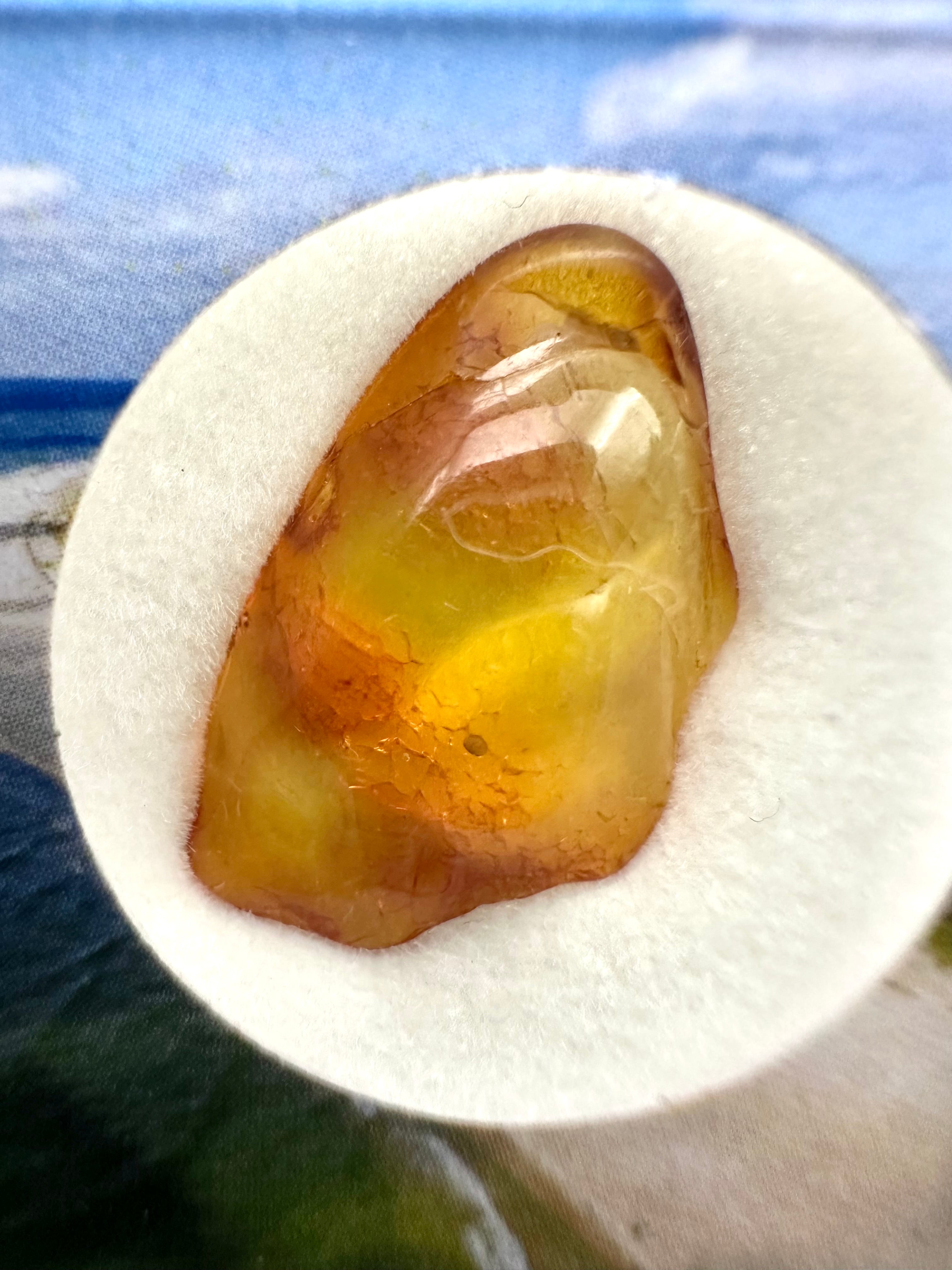 Amber in box – Lithuania - JN157