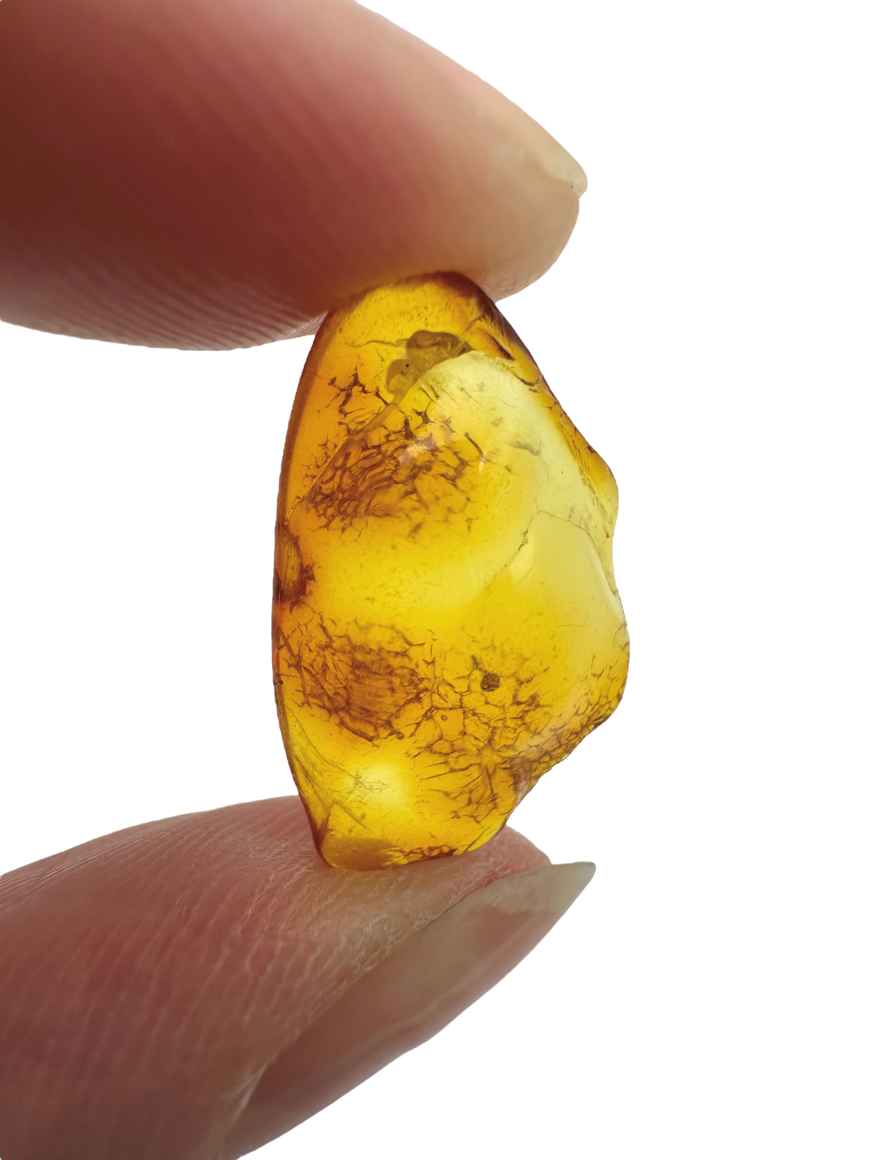 Amber in box – Lithuania - JN157