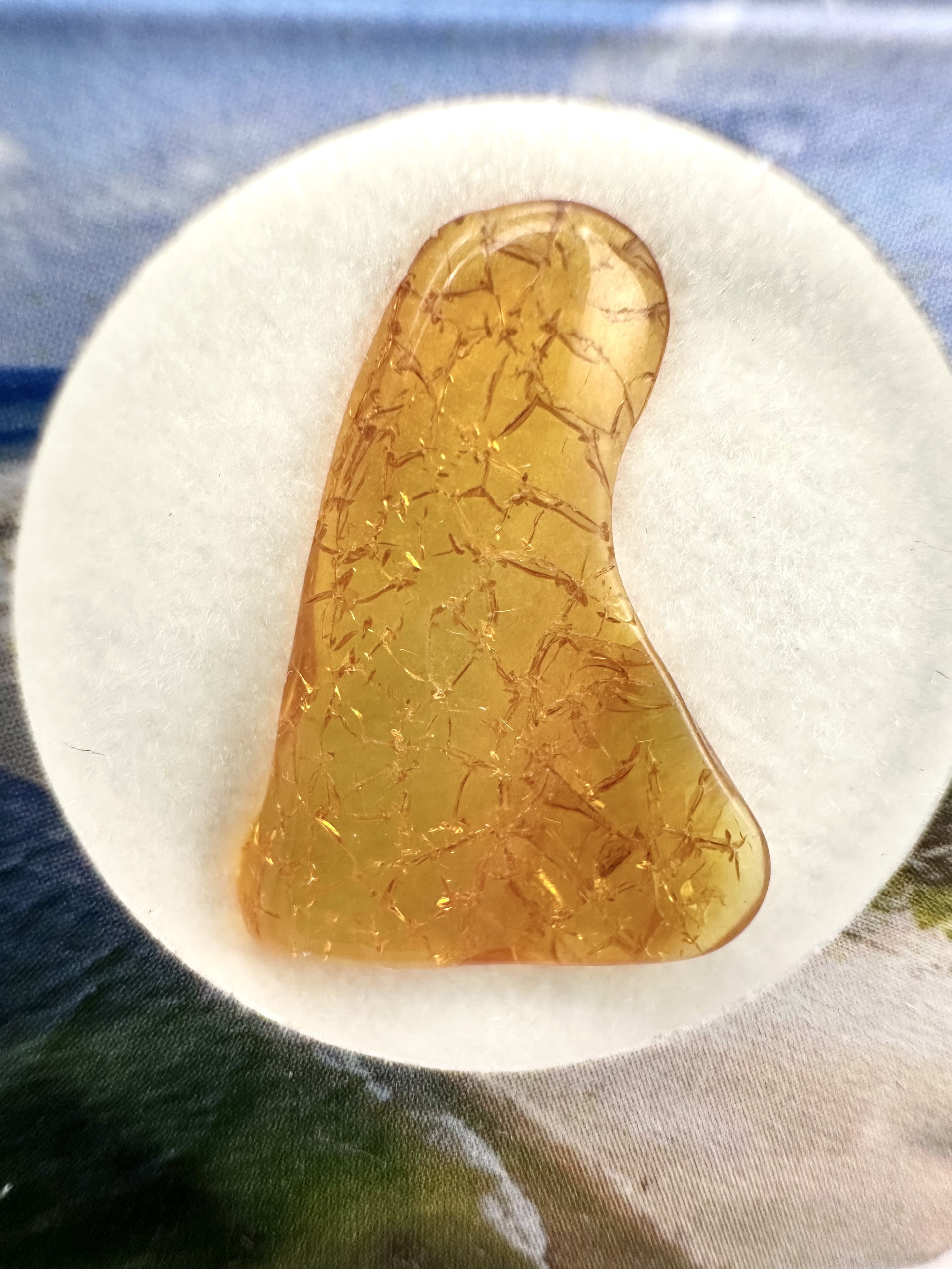 Amber in box – Lithuania - JN158