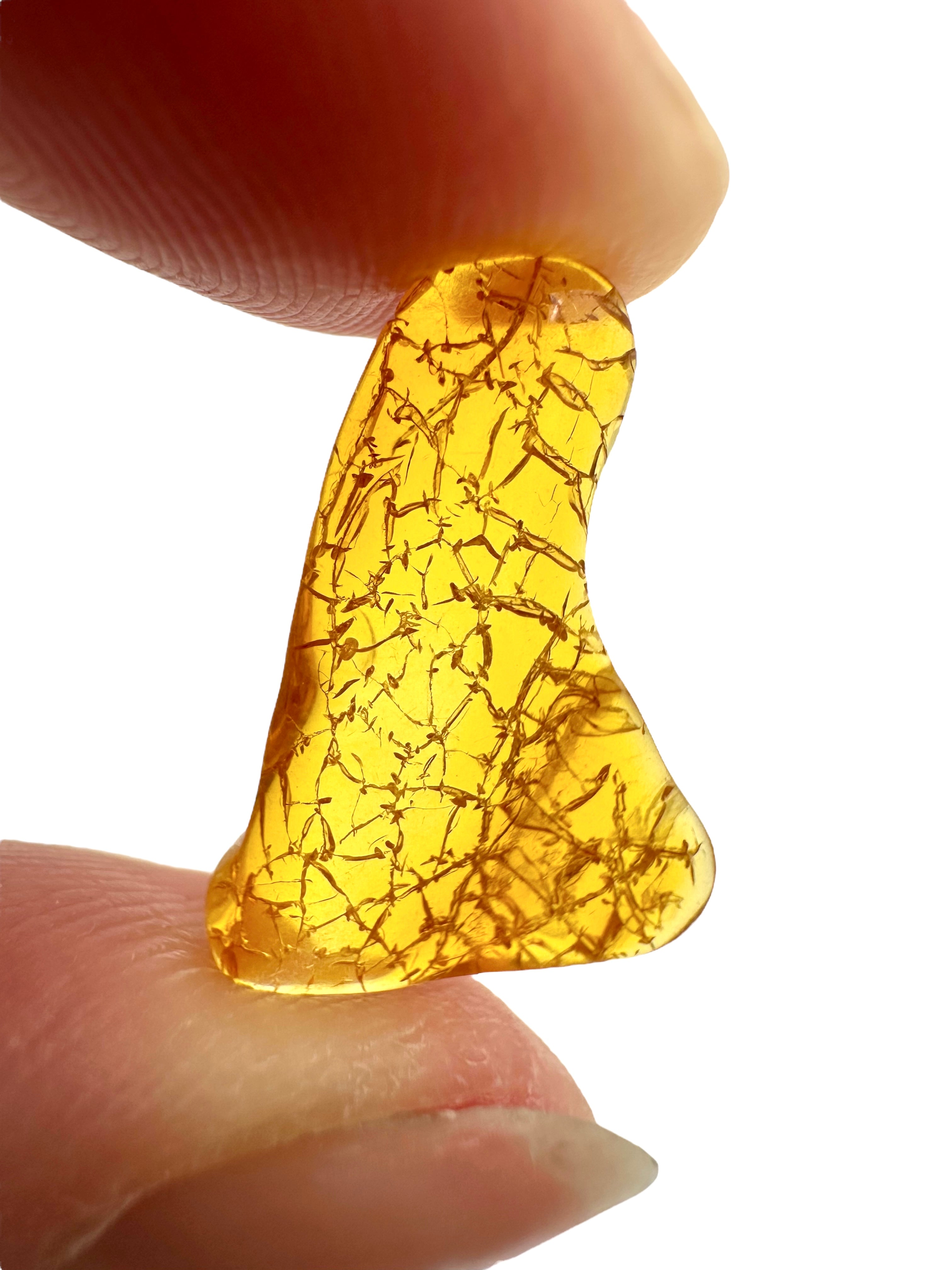 Amber in box – Lithuania - JN158