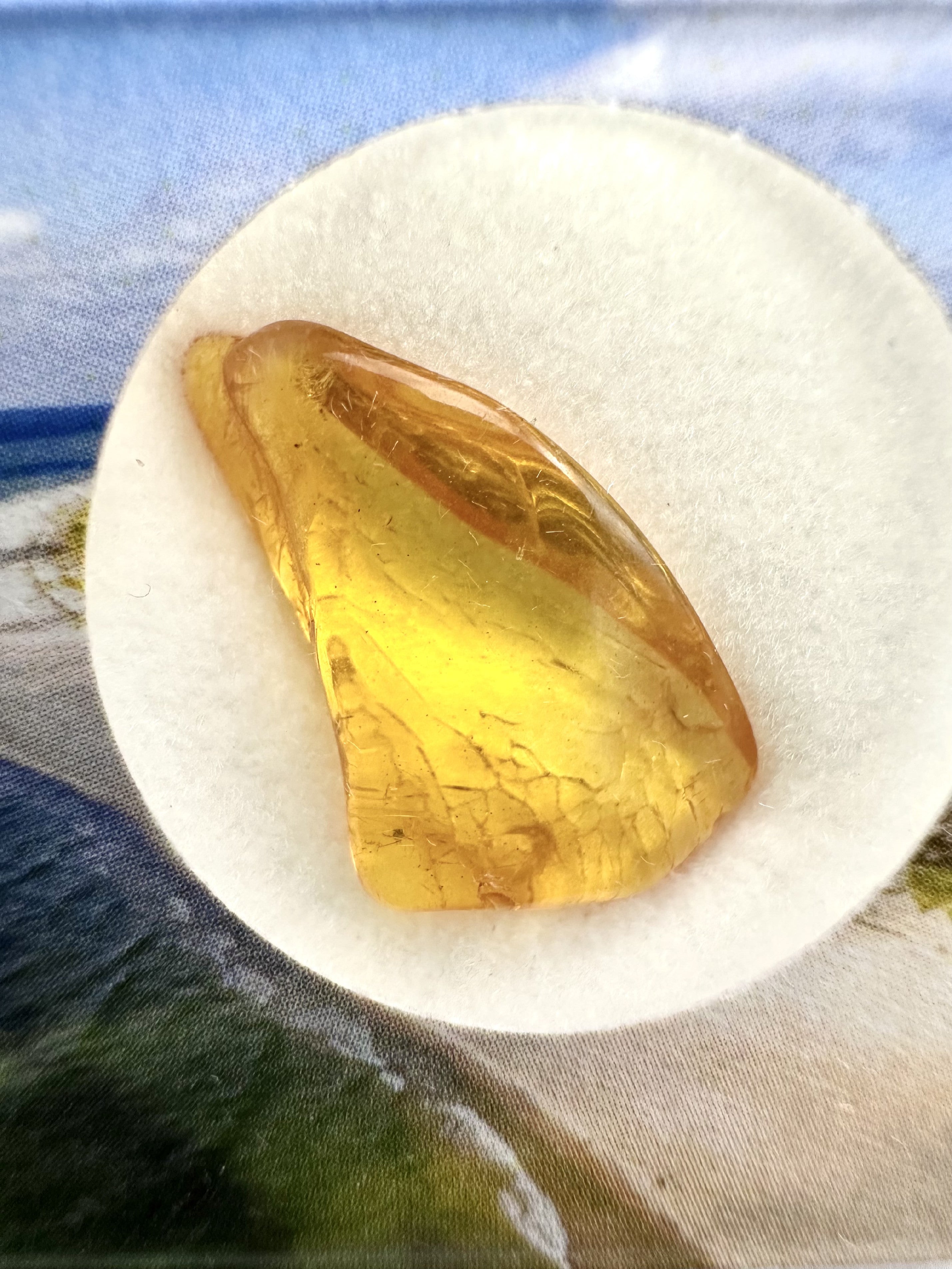 Amber in box – Lithuania - JN159