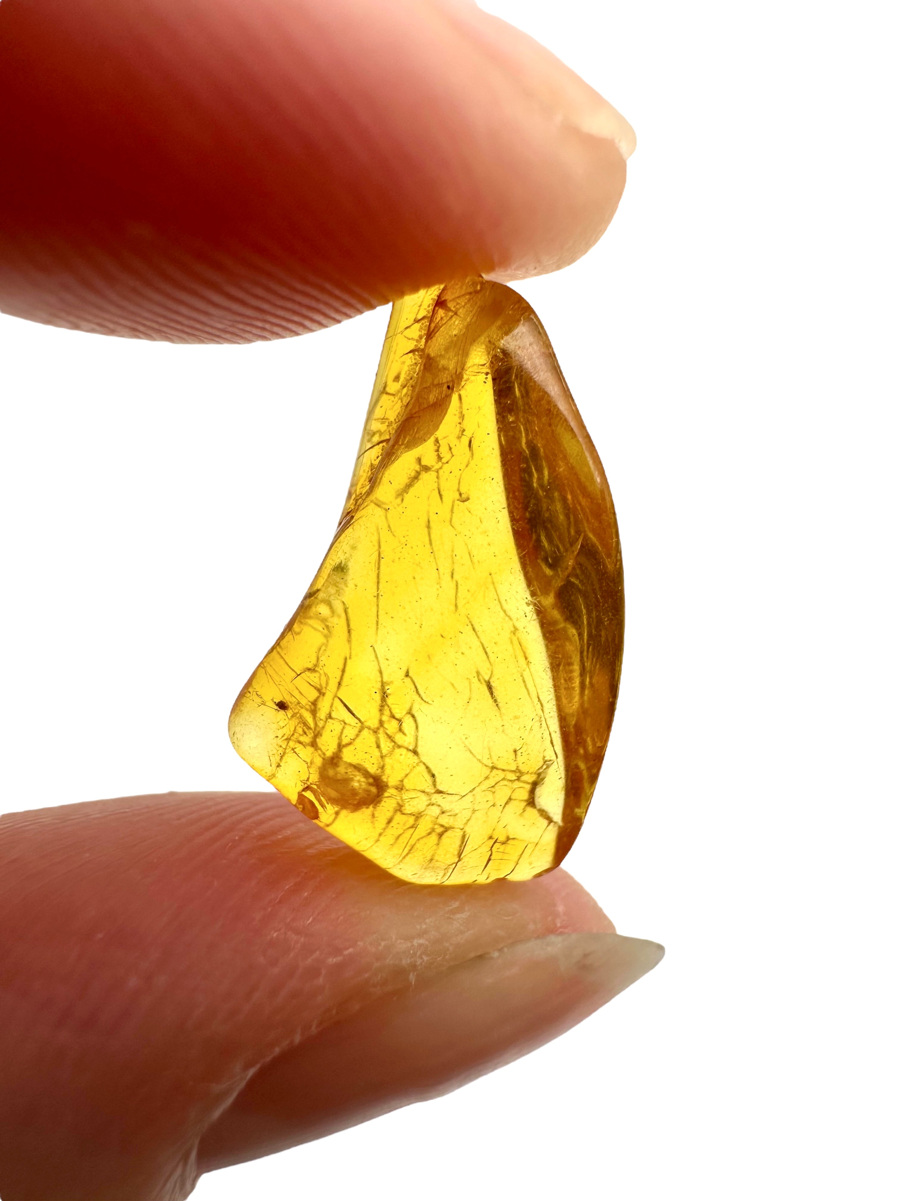 Amber in box – Lithuania - JN159