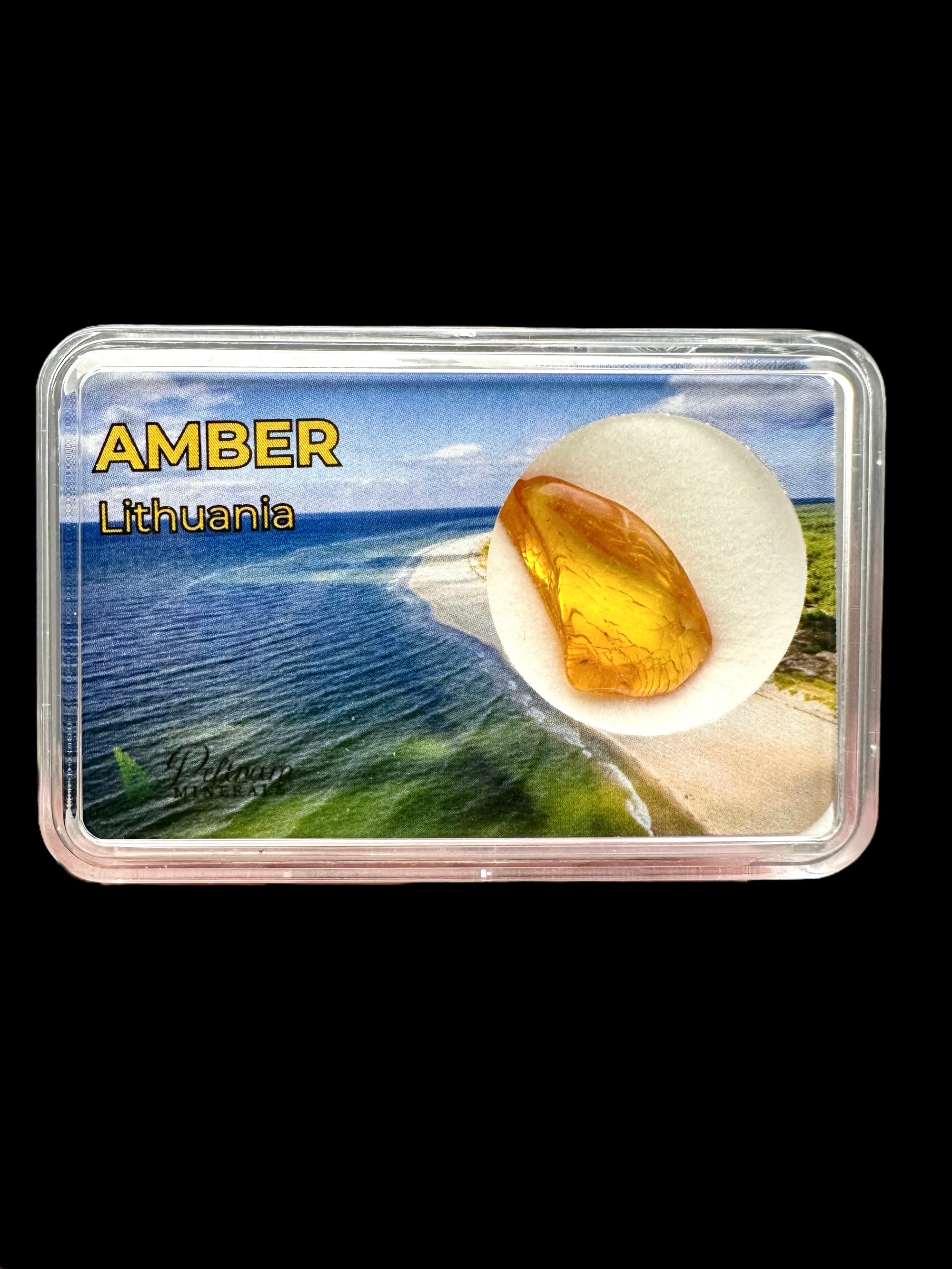 Amber in box – Lithuania