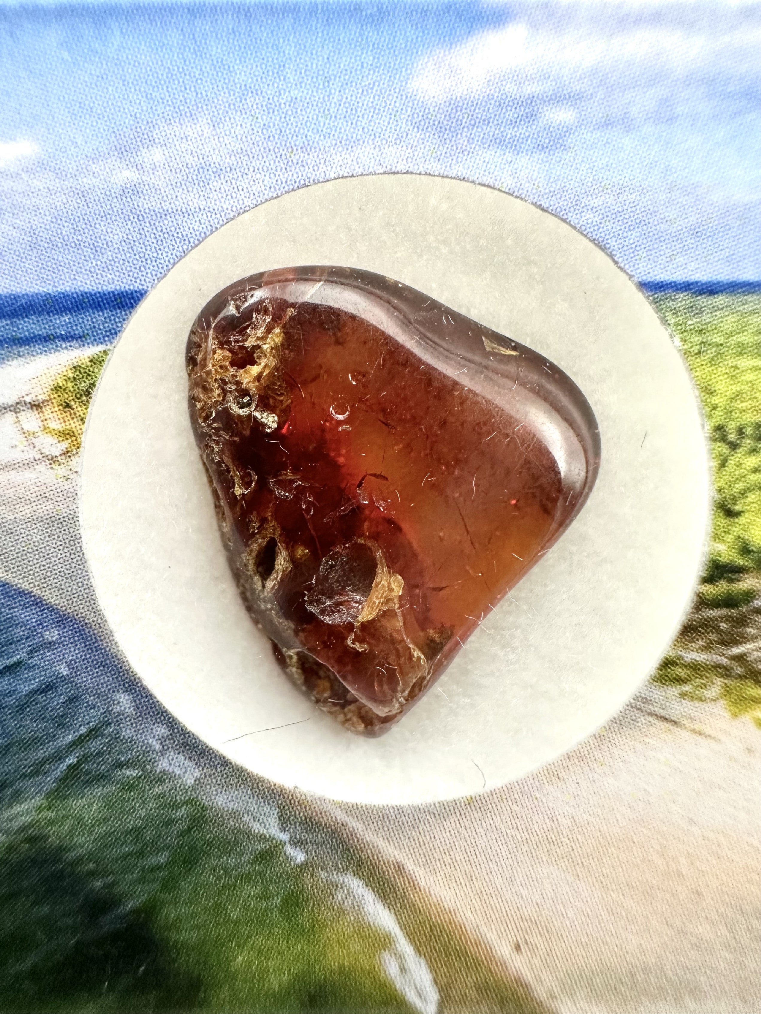 Amber in box – Lithuania - JN160