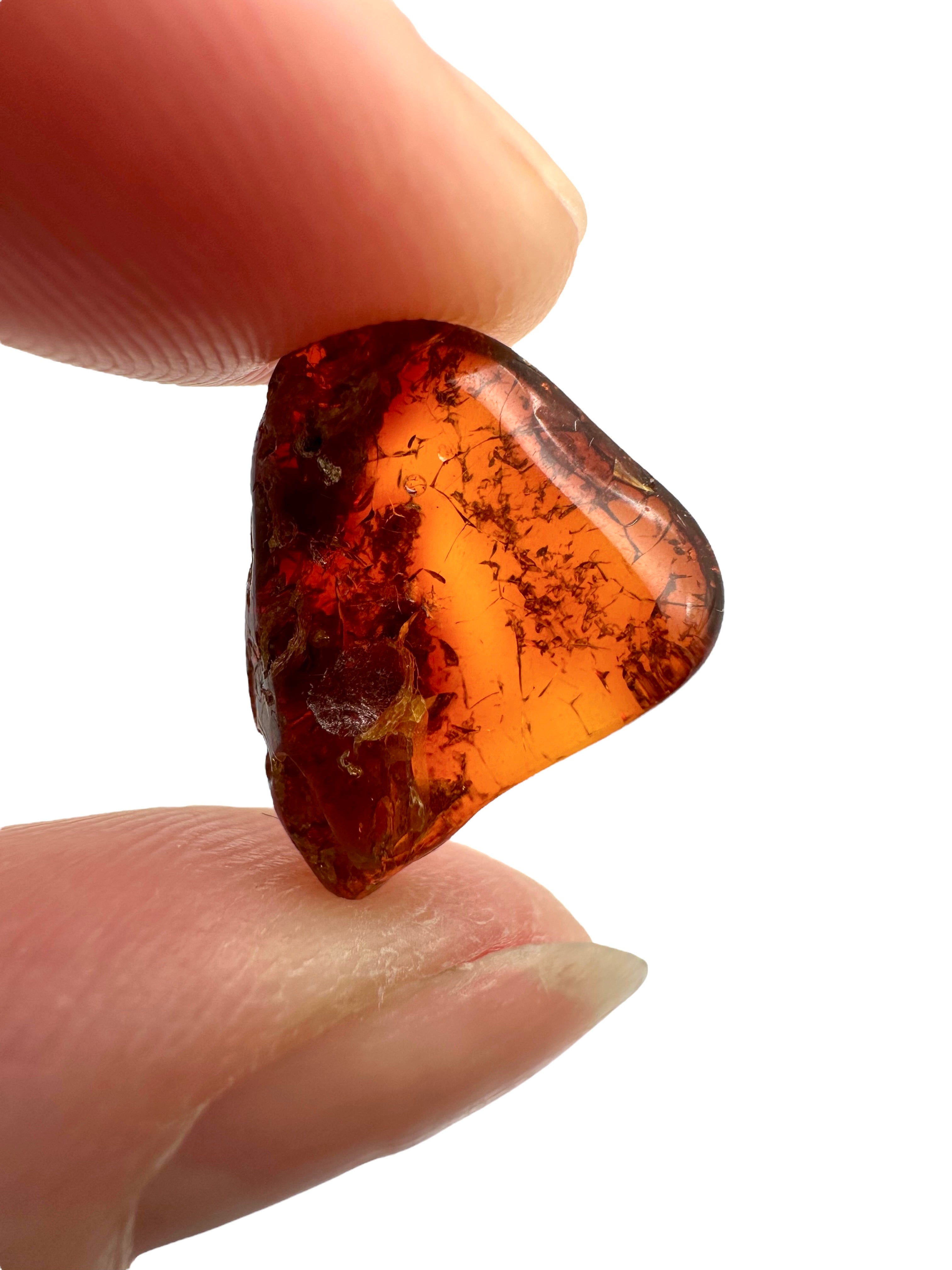 Amber in box – Lithuania - JN160
