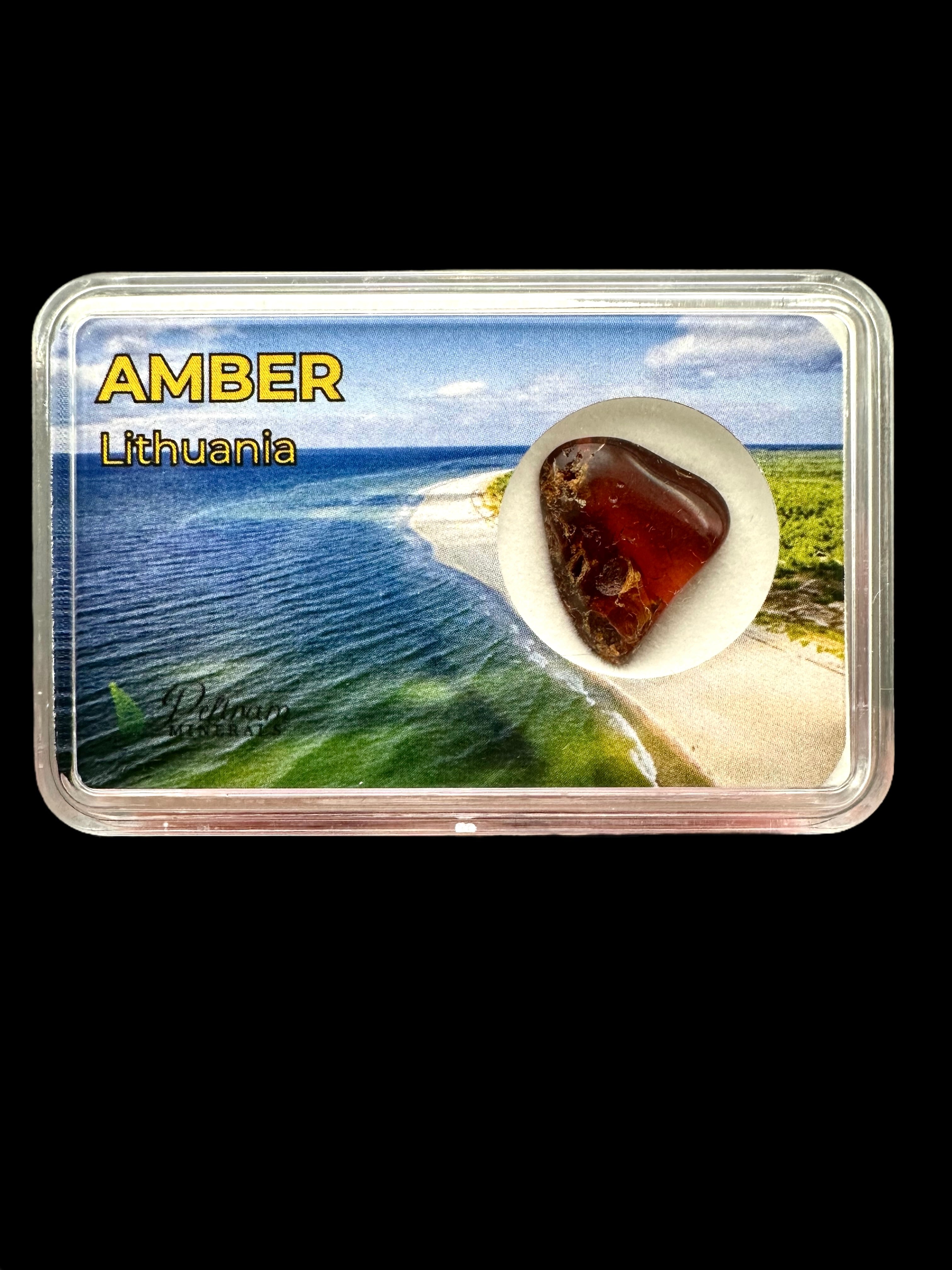 Amber in box – Lithuania