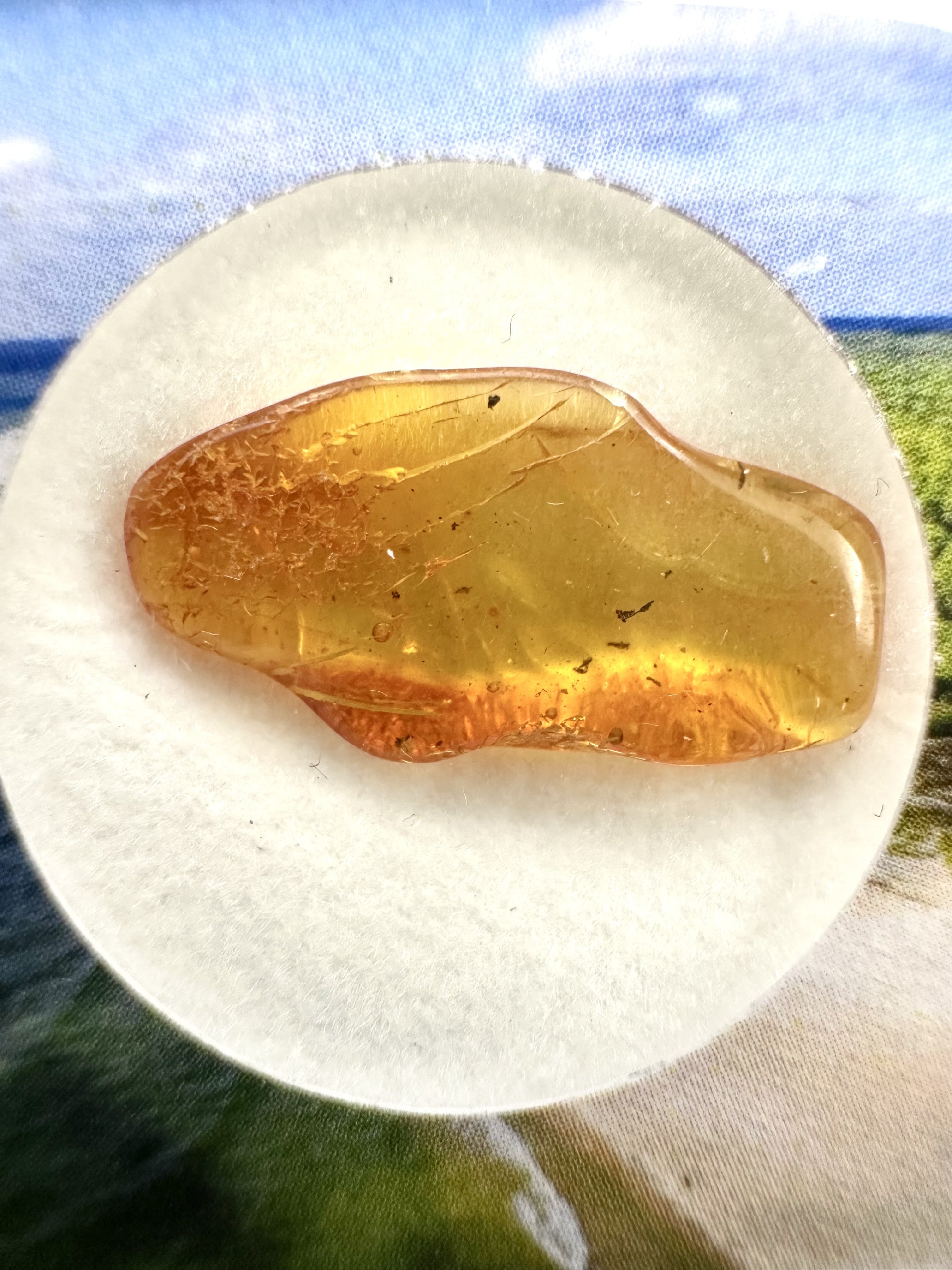 Amber in box – Lithuania - JN161