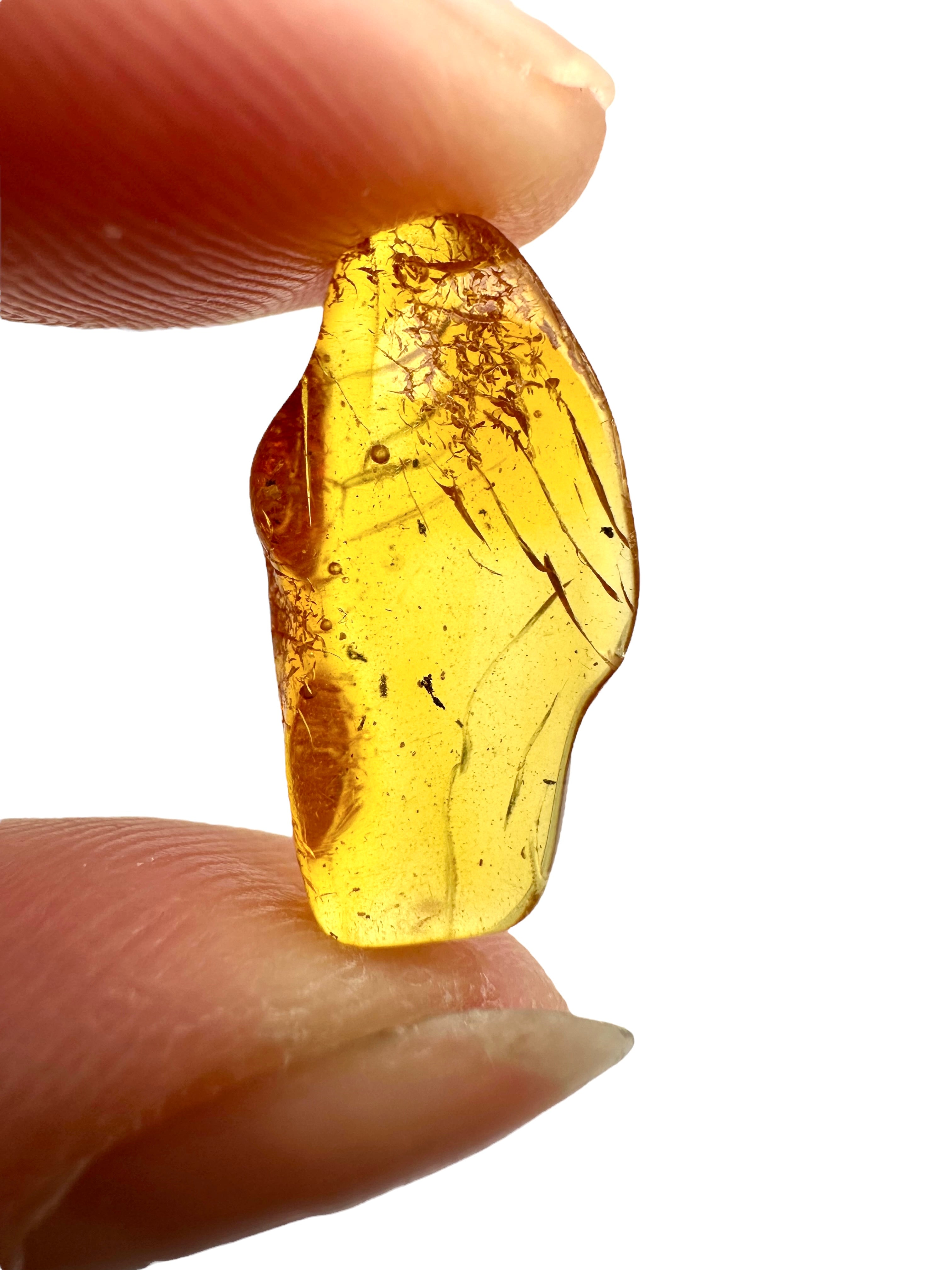 Amber in box – Lithuania - JN161