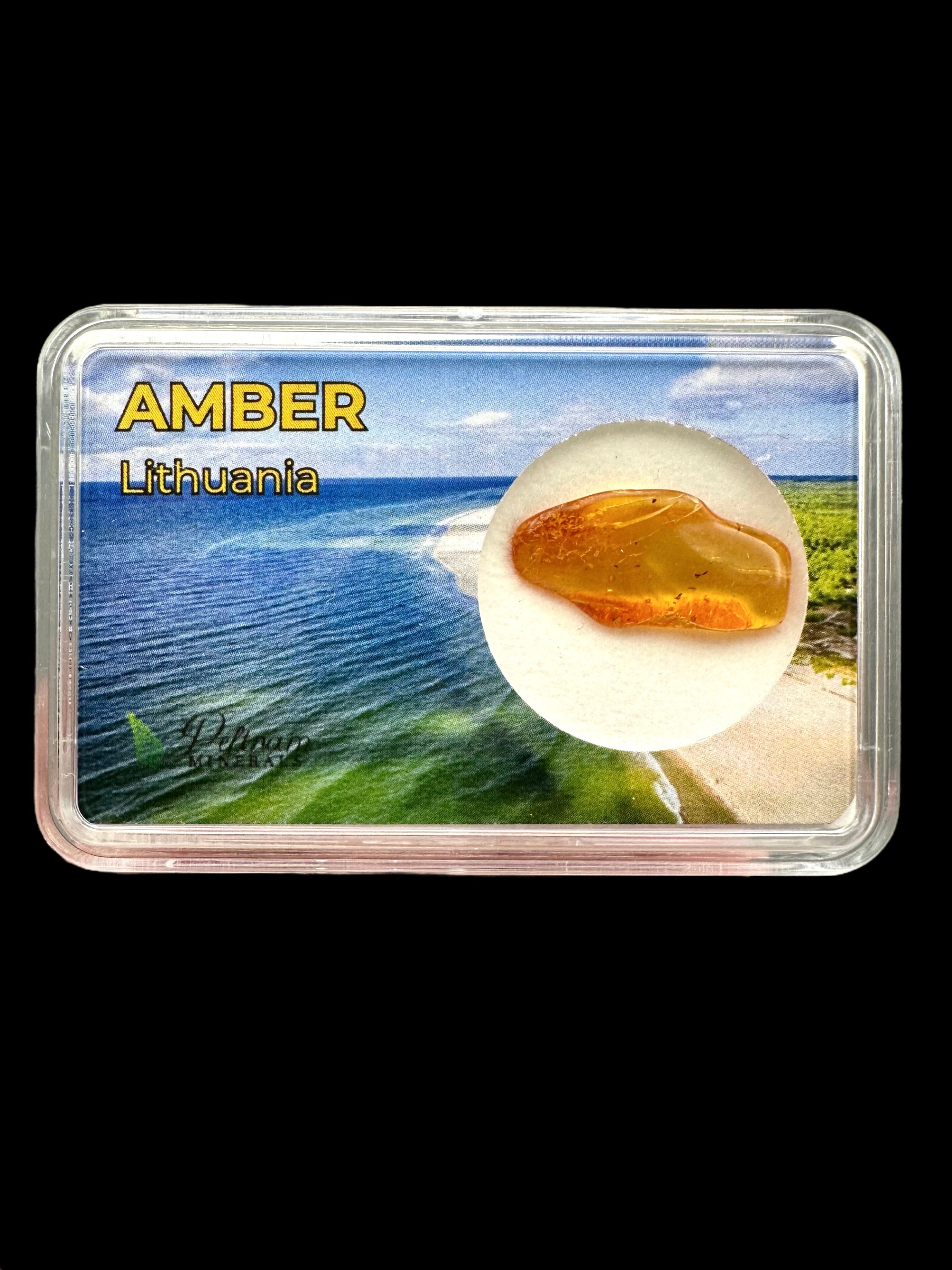 Amber in box – Lithuania