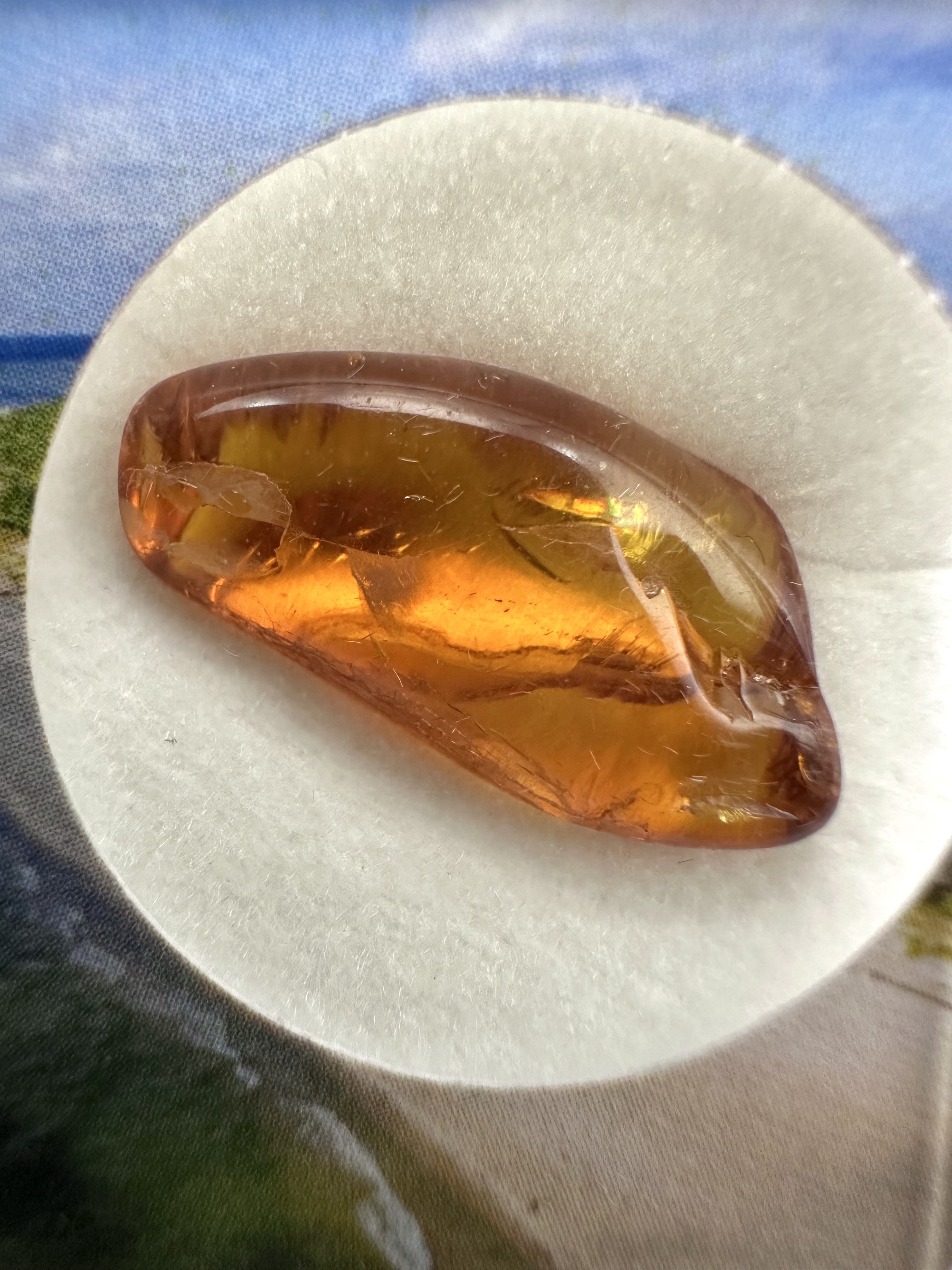 Amber in box – Lithuania - JN162