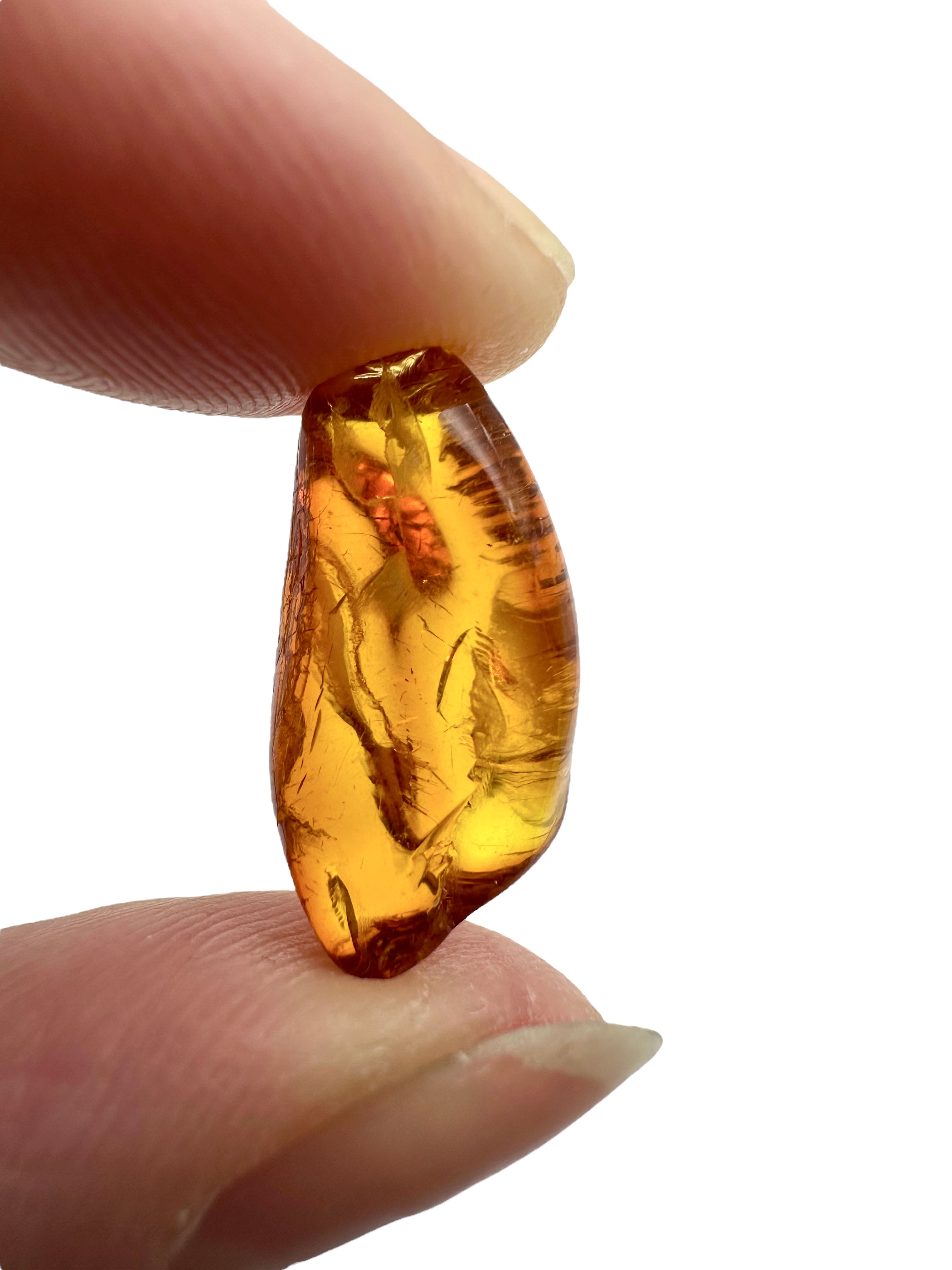 Amber in box – Lithuania - JN162