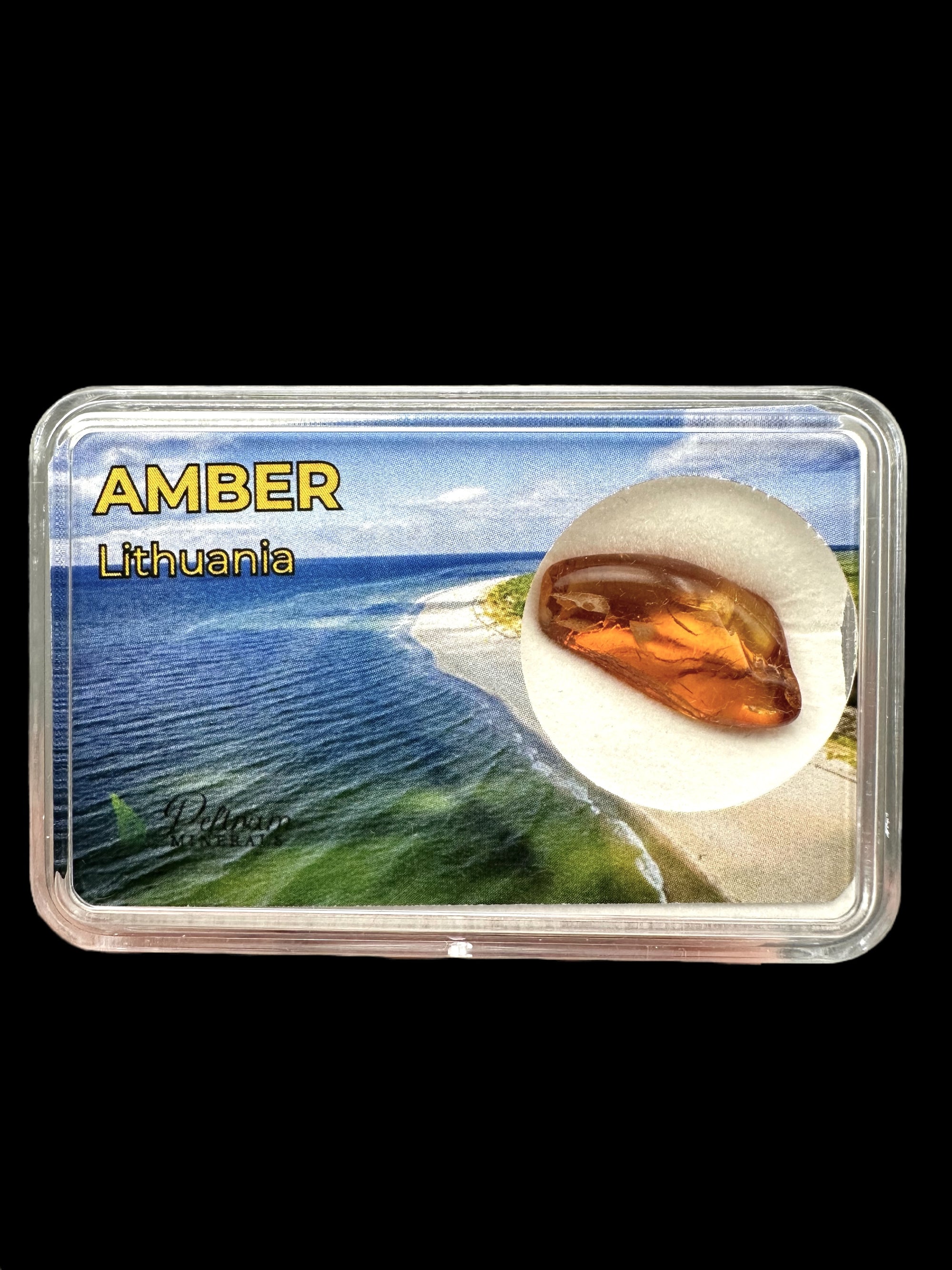 Amber in box – Lithuania