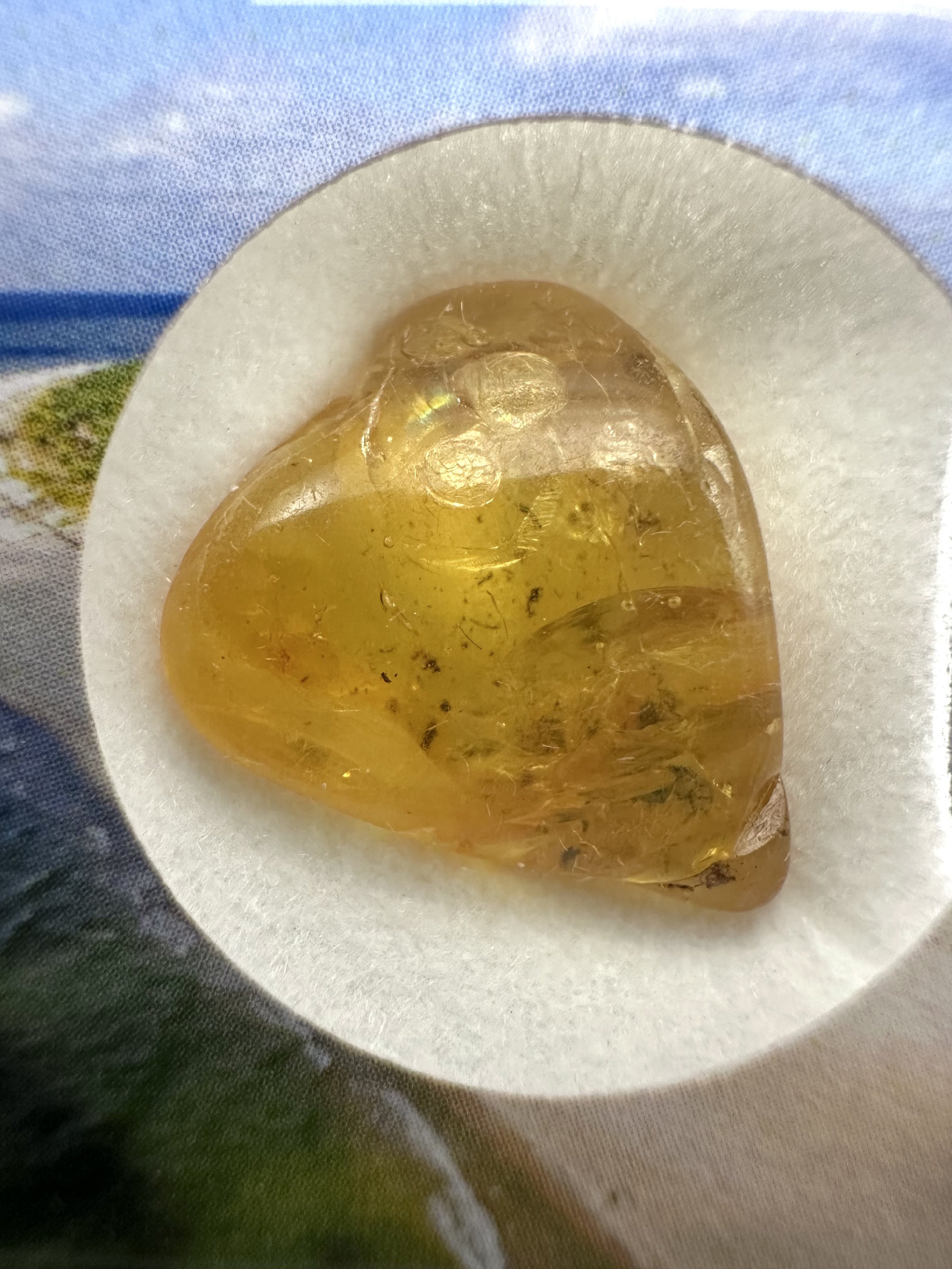 Amber in box – Lithuania - JN163