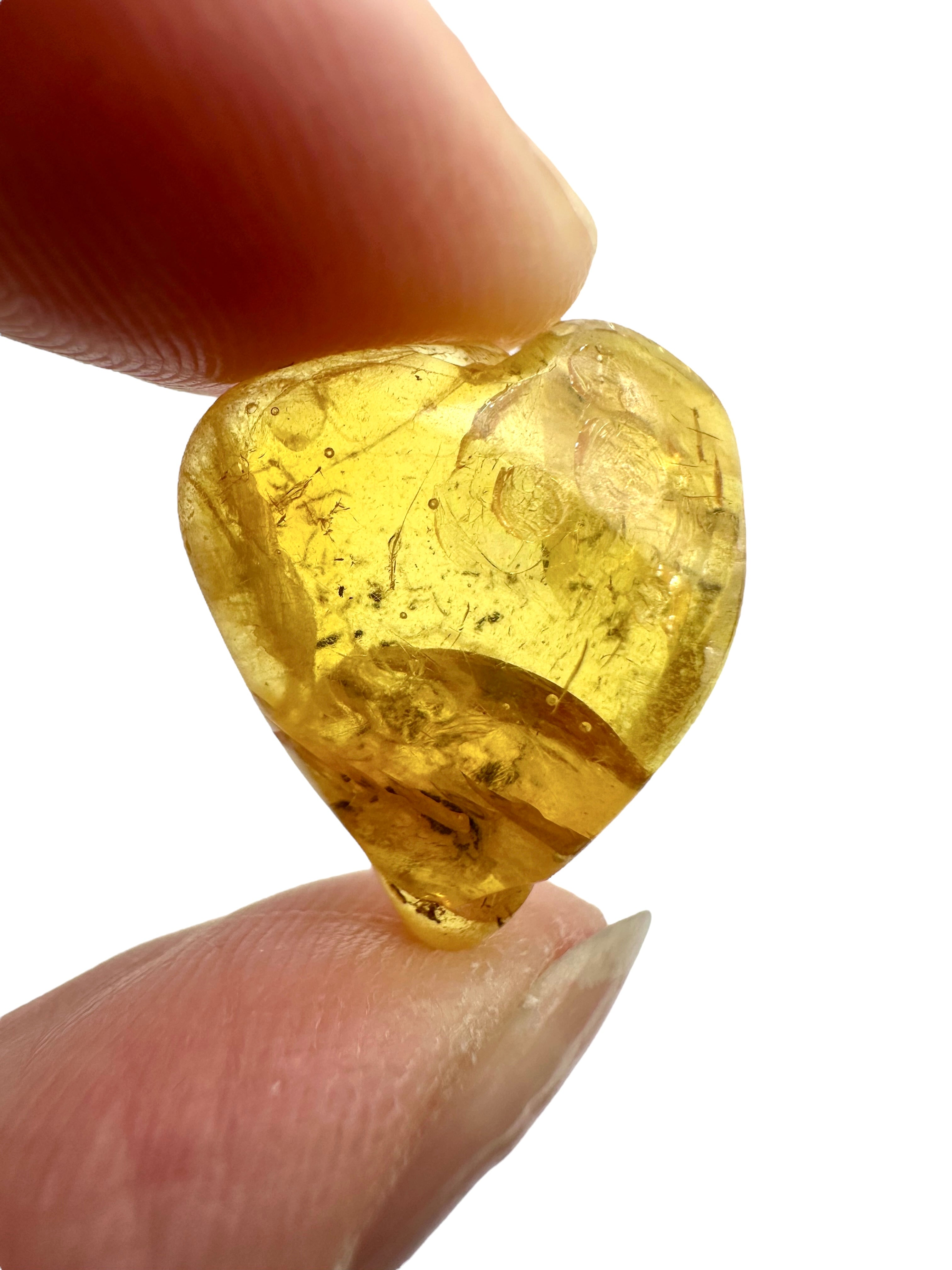 Amber in box – Lithuania - JN163