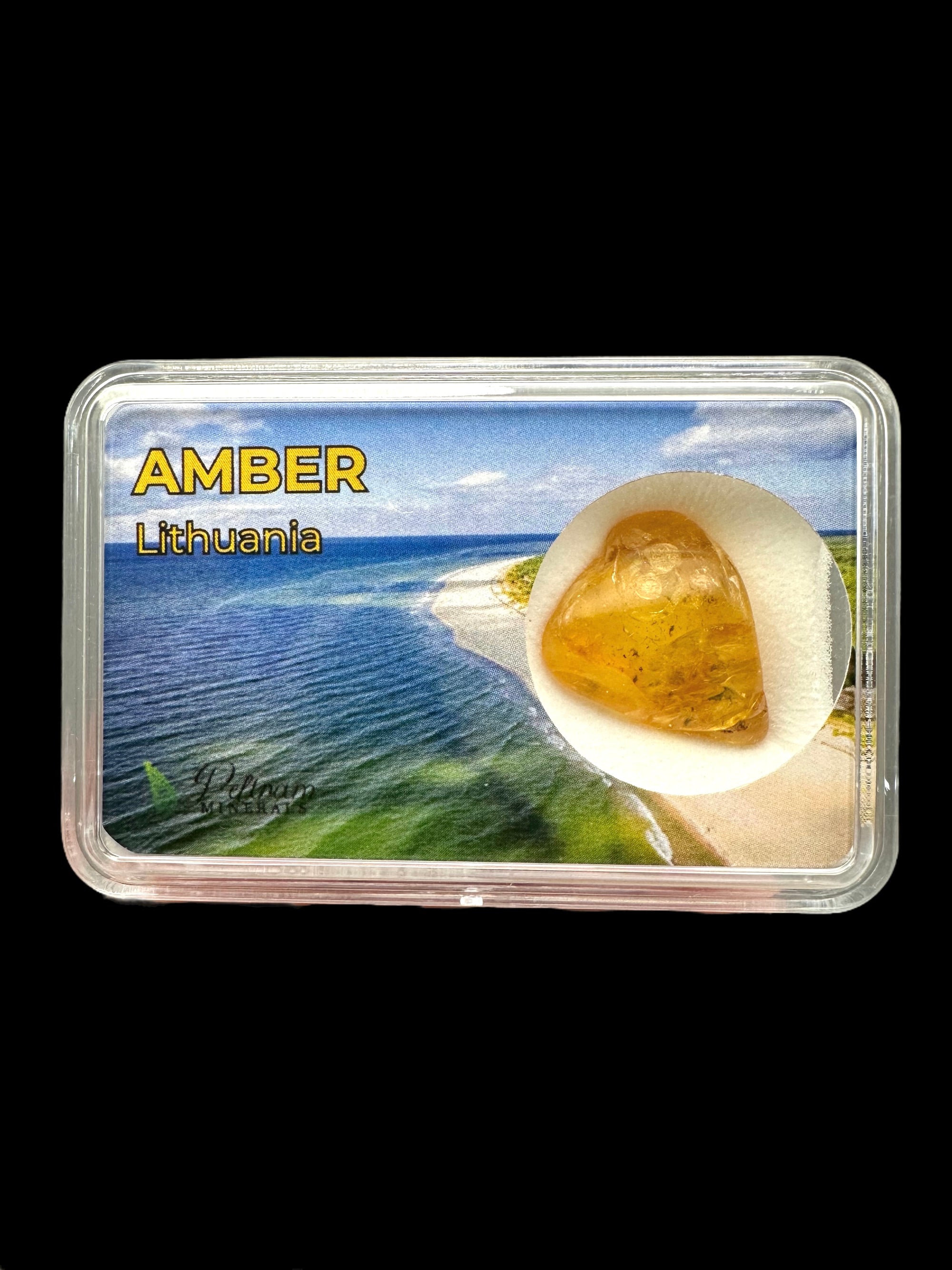 Amber in box – Lithuania