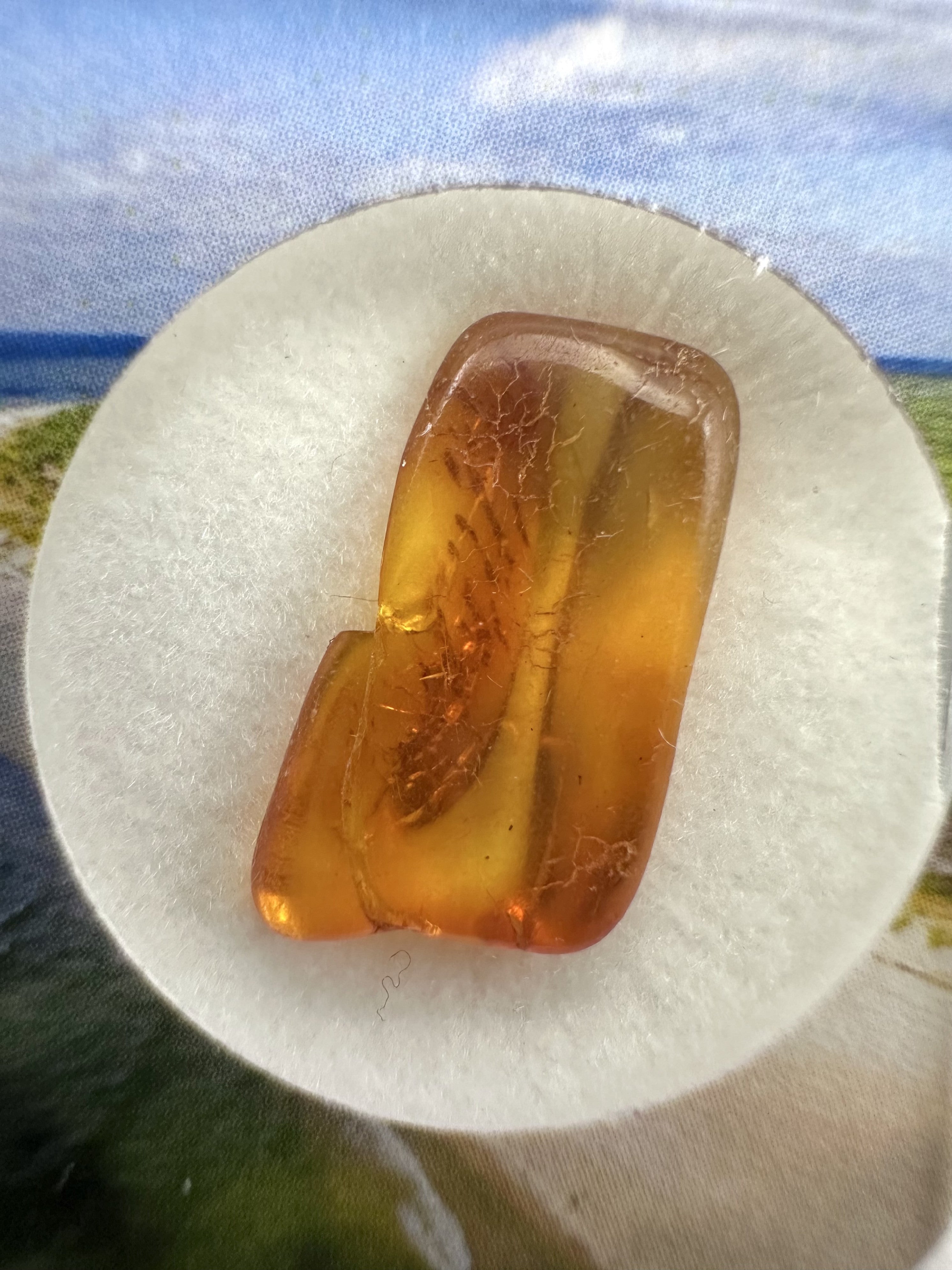 Amber in box – Lithuania - JN164