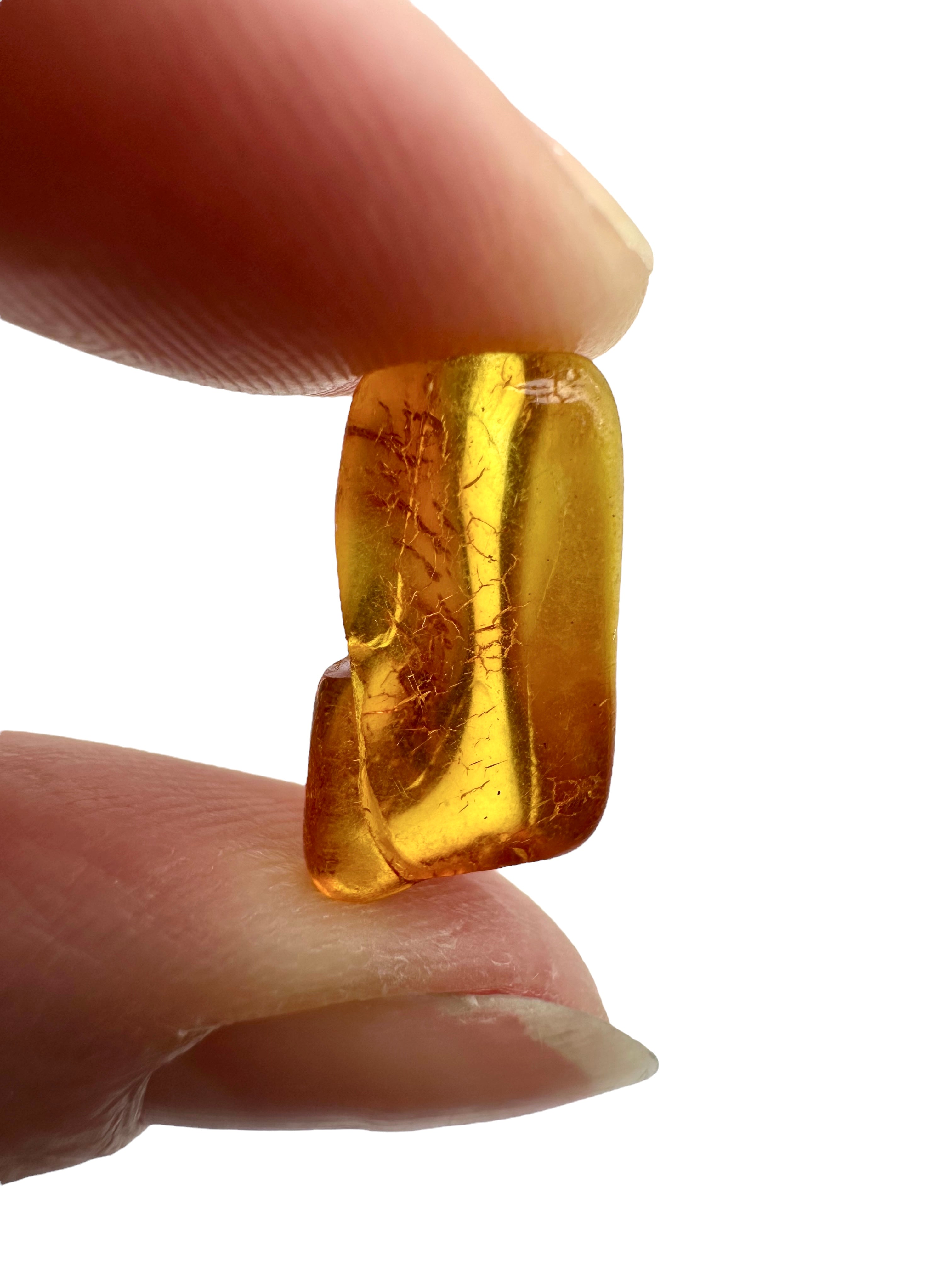 Amber in box – Lithuania - JN164