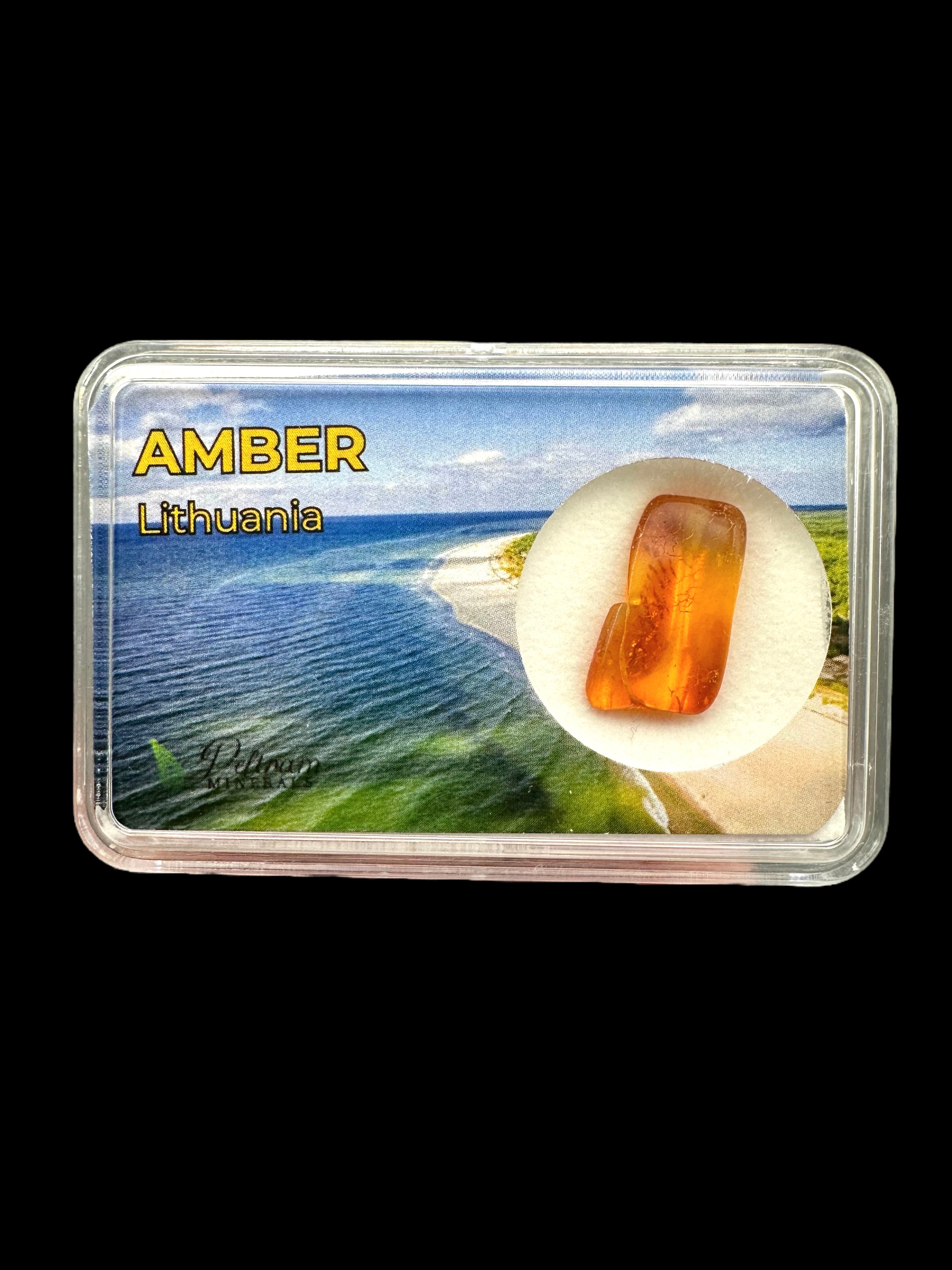 Amber in box – Lithuania