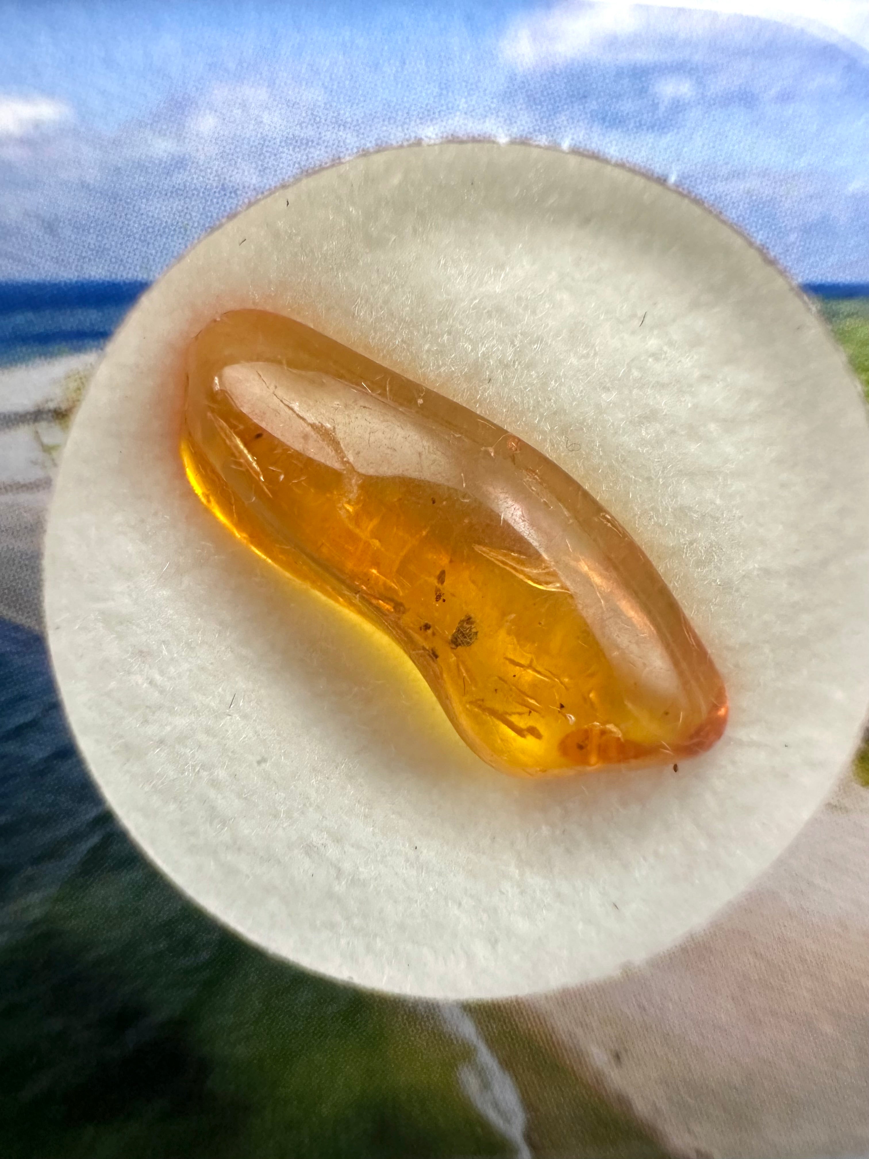 Amber in box – Lithuania - JN165