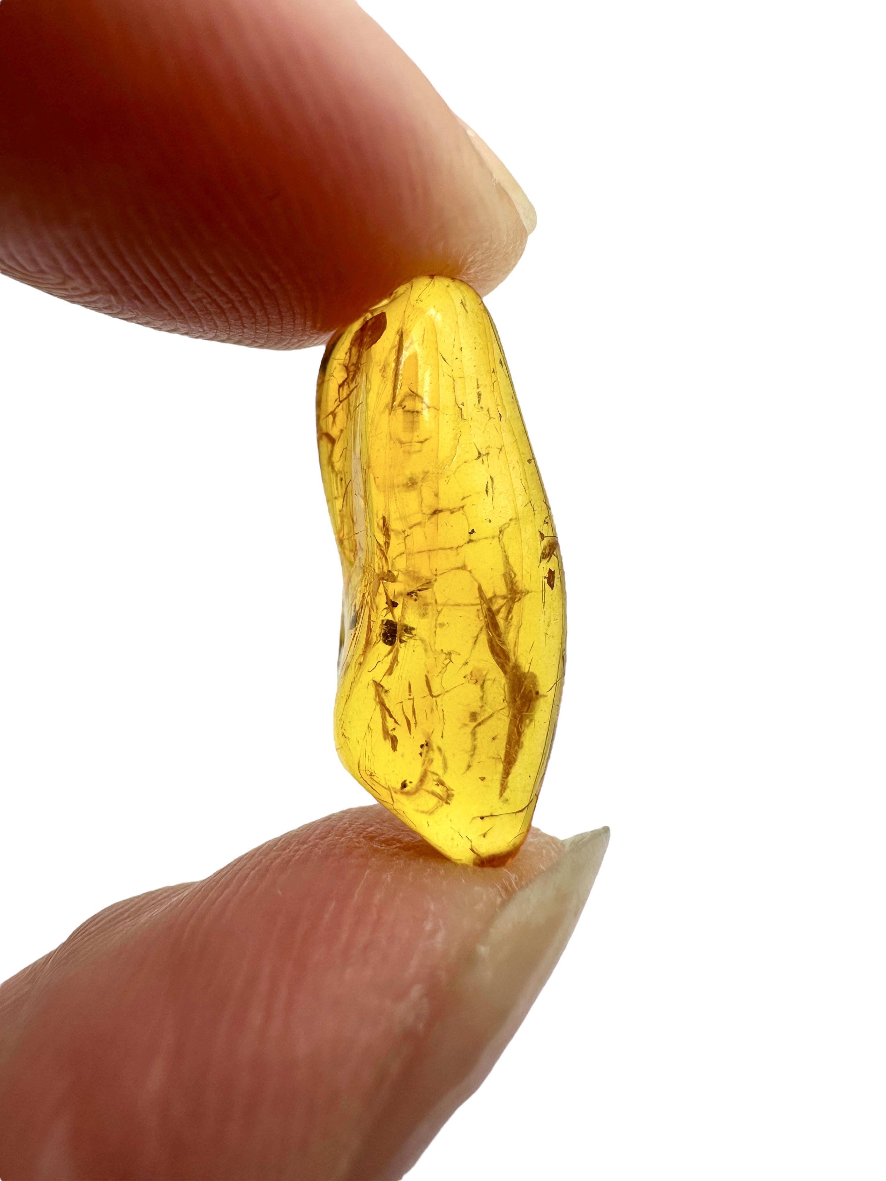 Amber in box – Lithuania - JN165