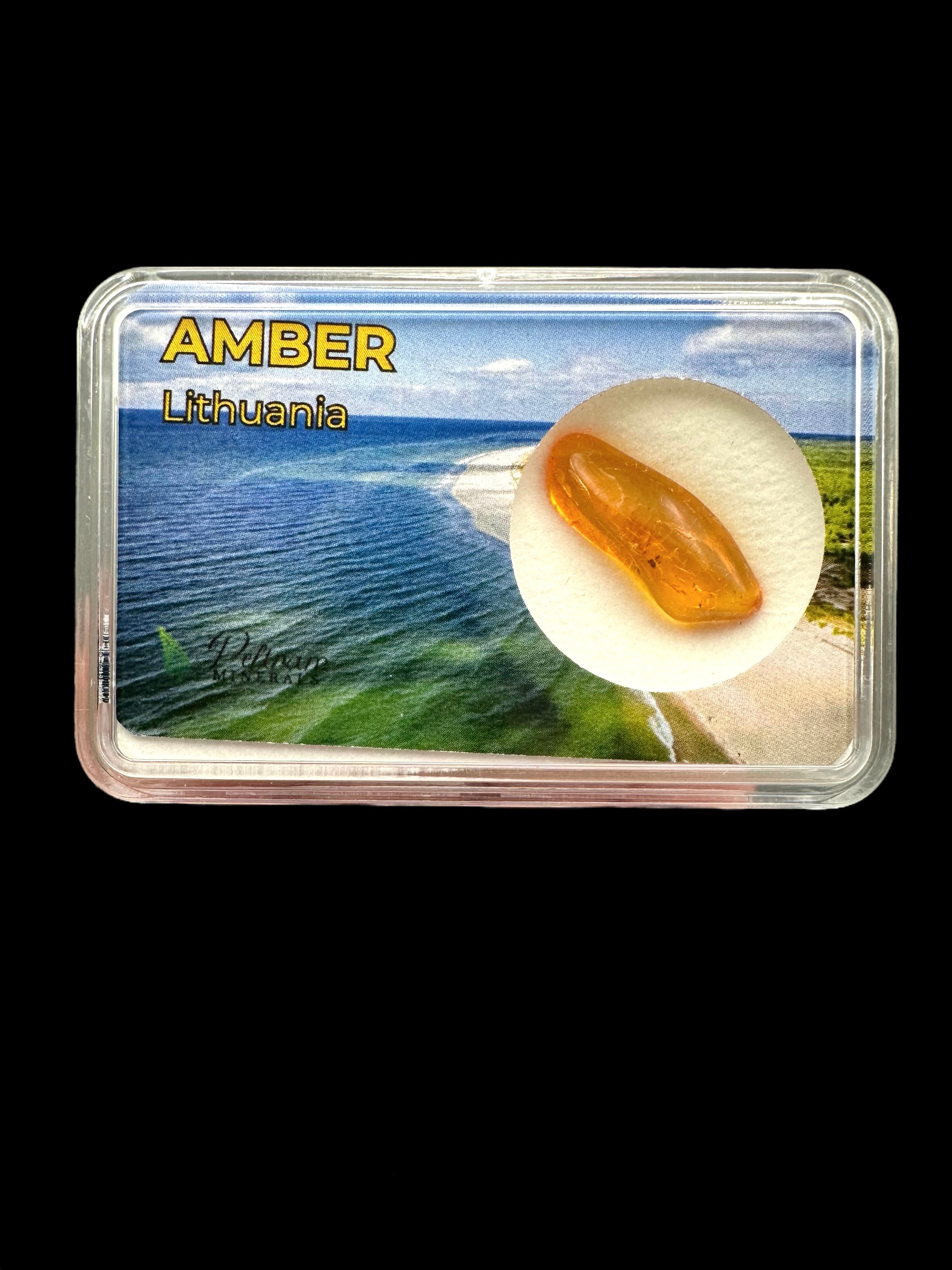 Amber in box – Lithuania