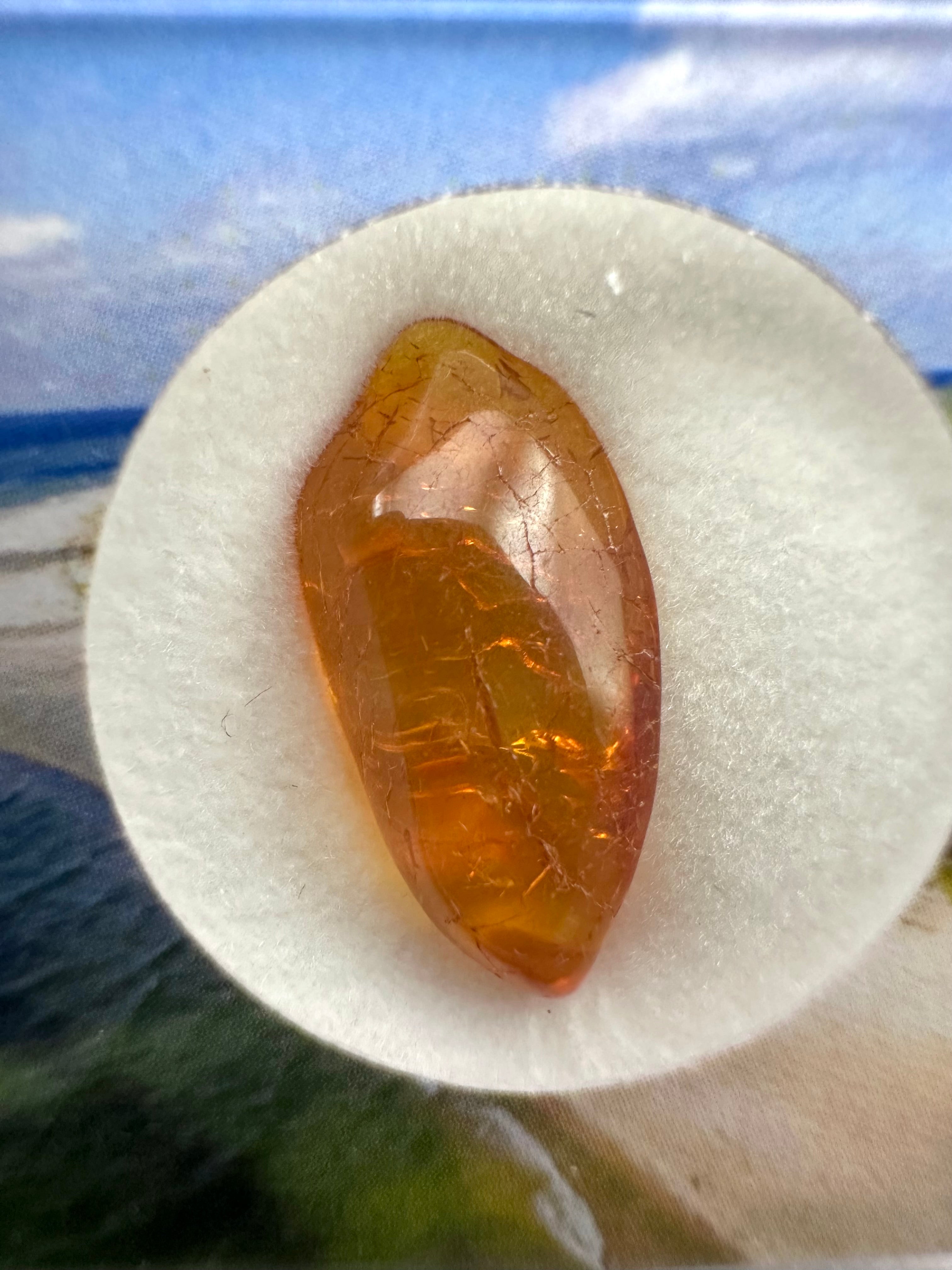 Amber in box – Lithuania - JN166