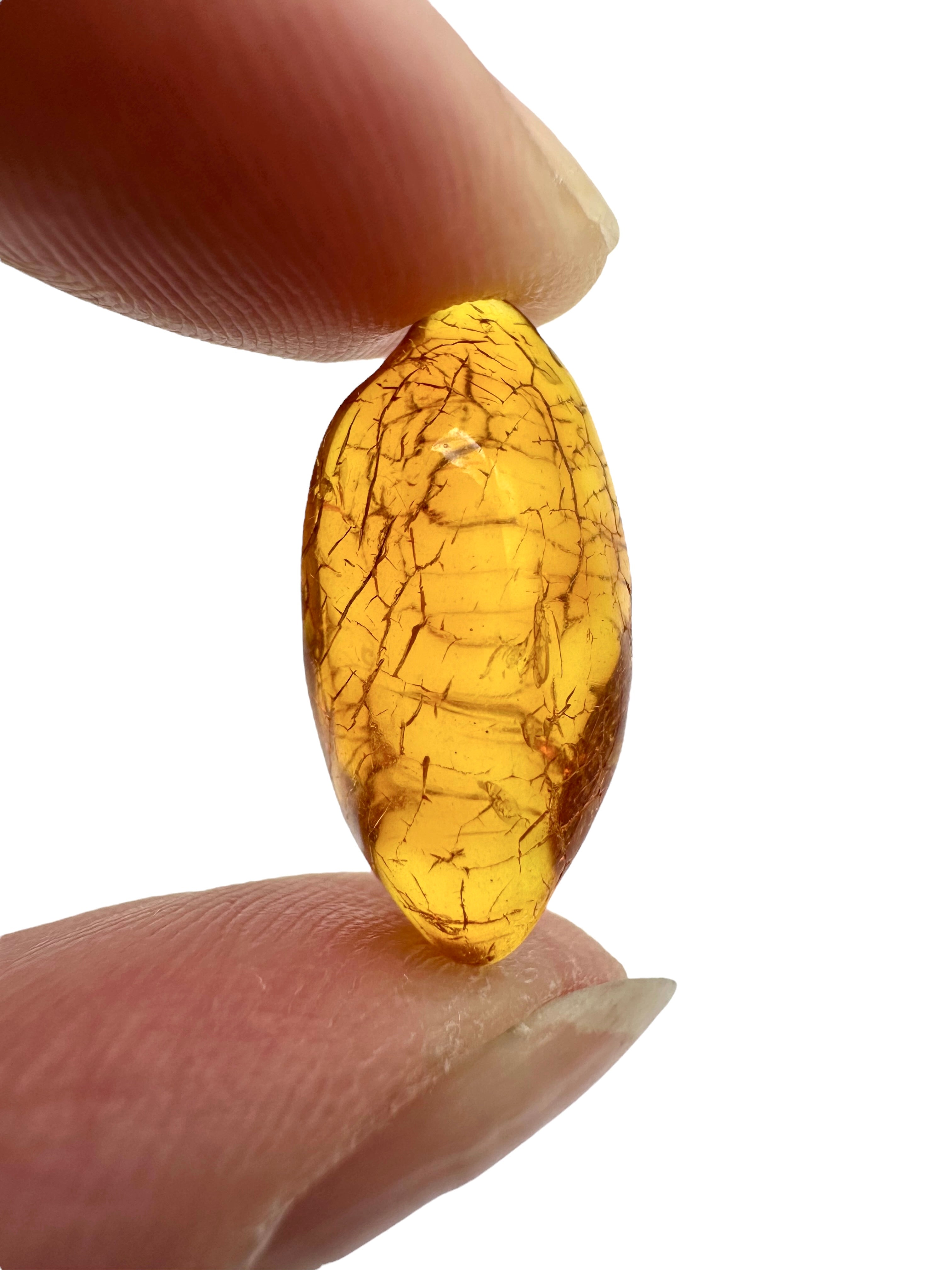 Amber in box – Lithuania - JN166