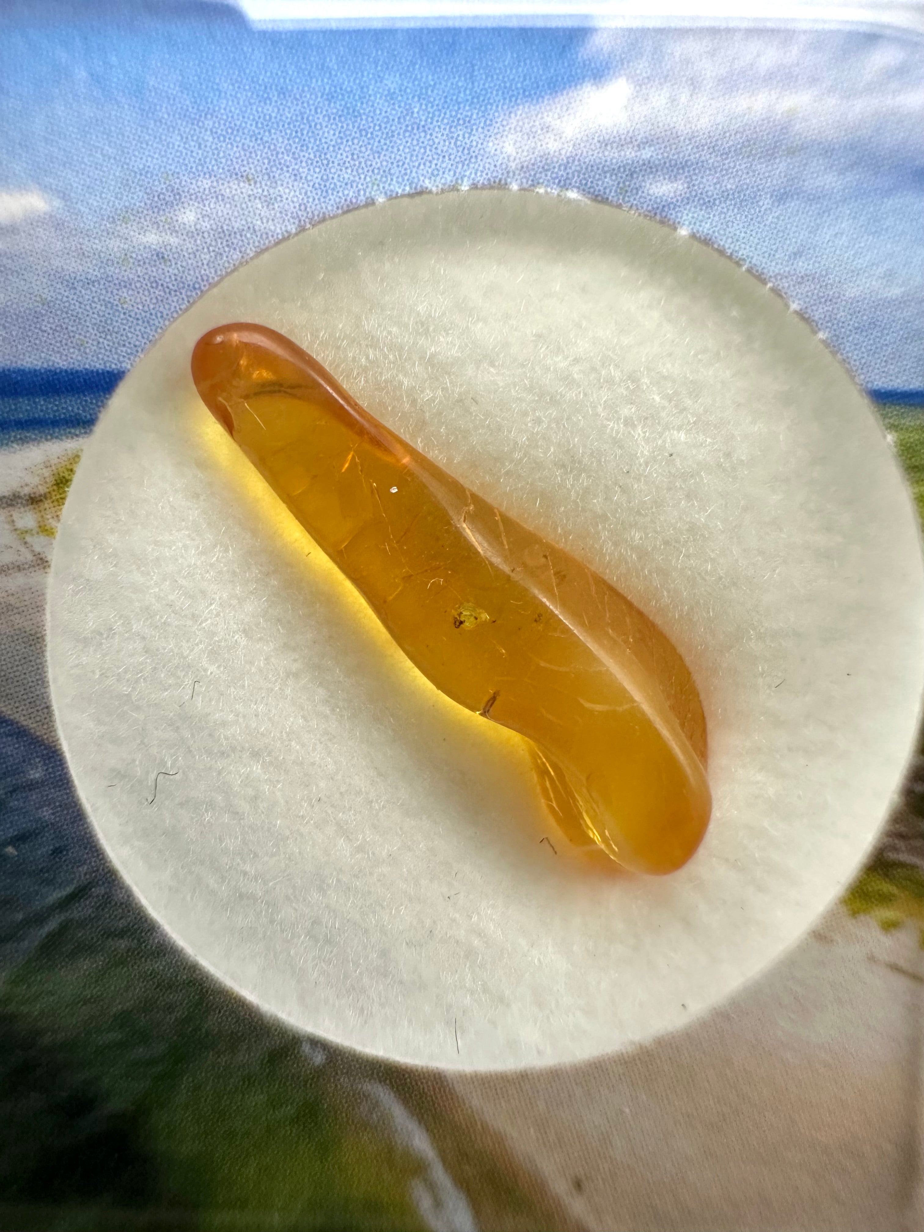 Amber in box – Lithuania - JN167