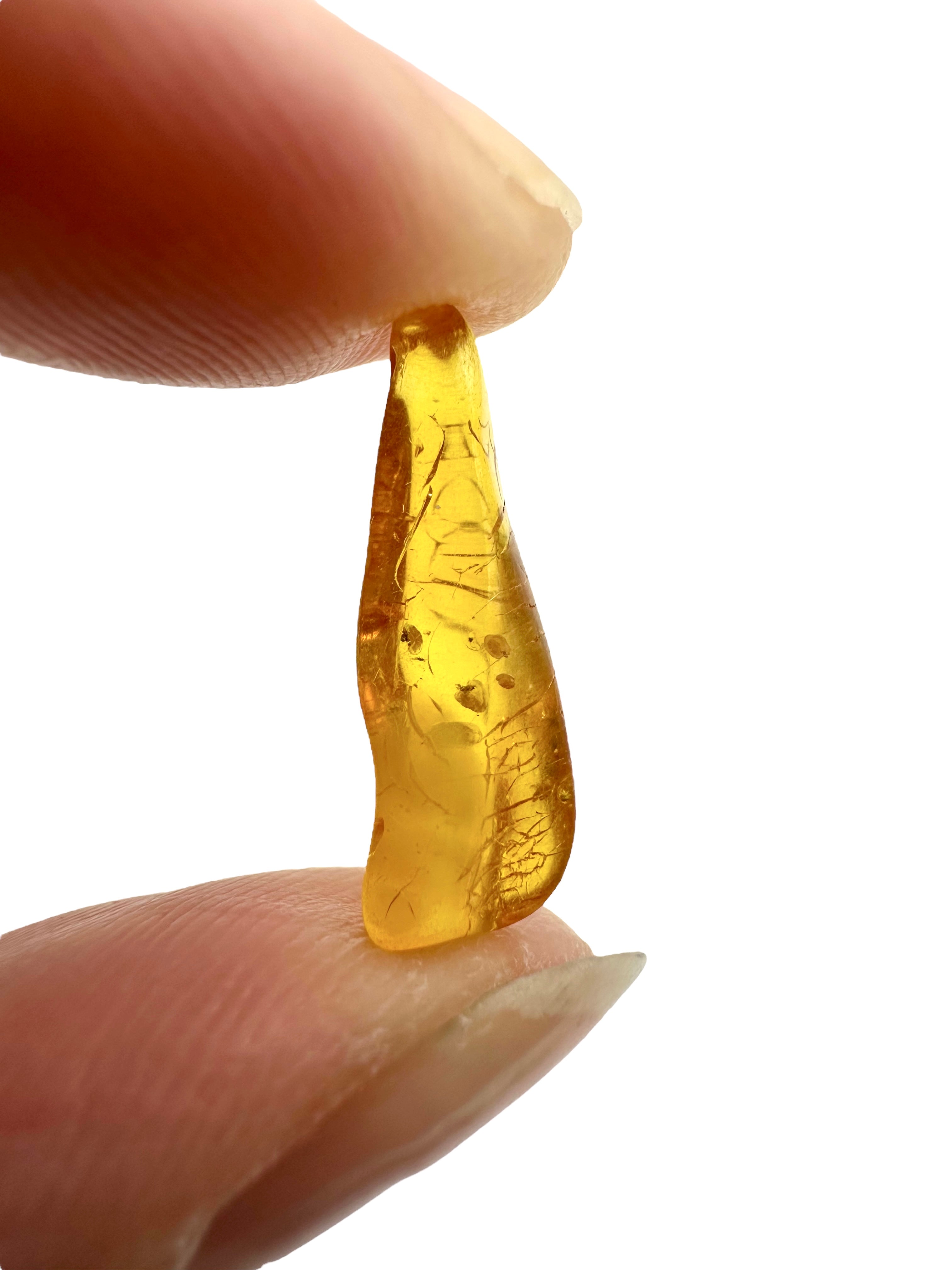 Amber in box – Lithuania - JN167