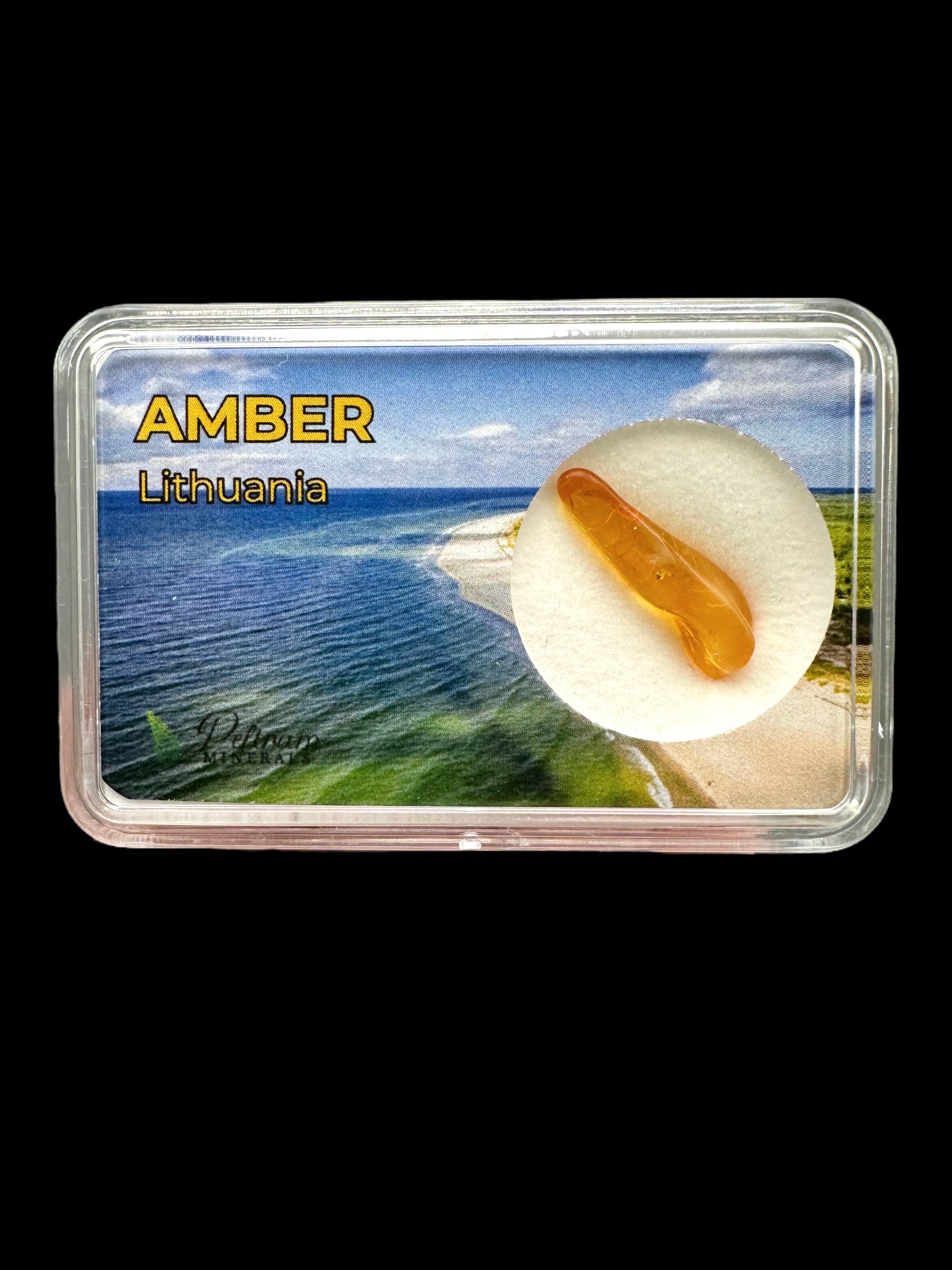Amber in box – Lithuania