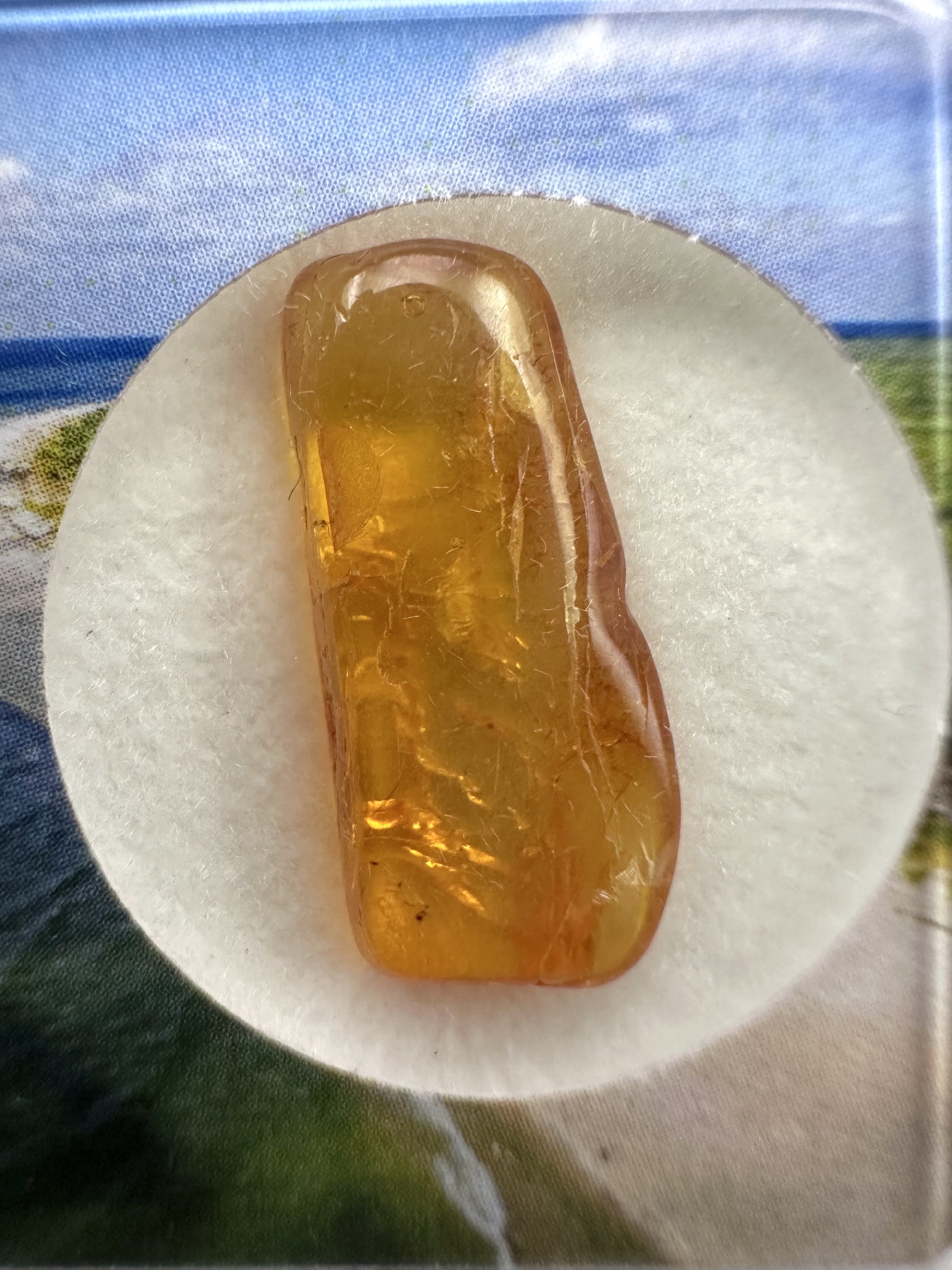 Amber in box – Lithuania - JN168