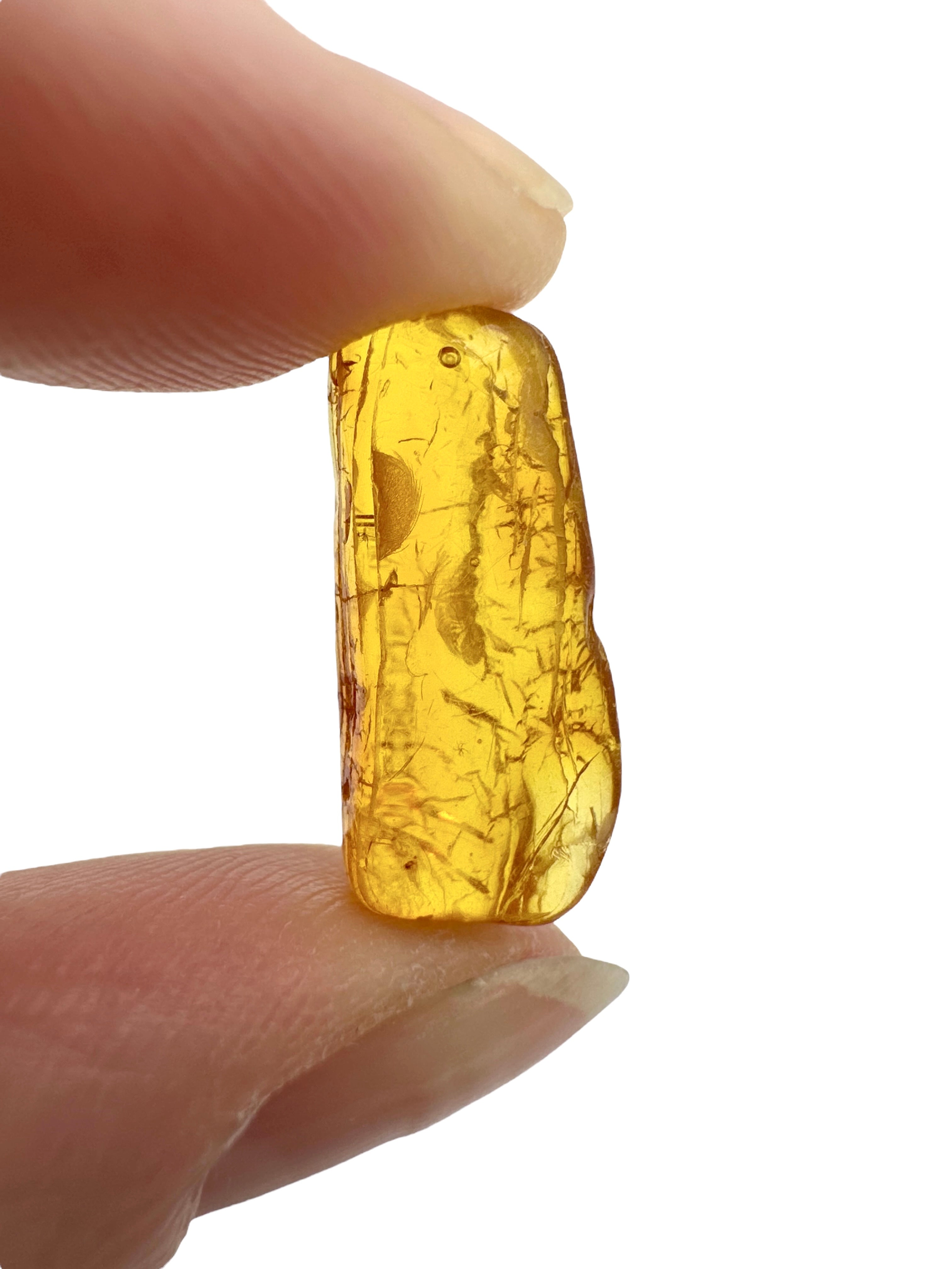 Amber in box – Lithuania - JN168