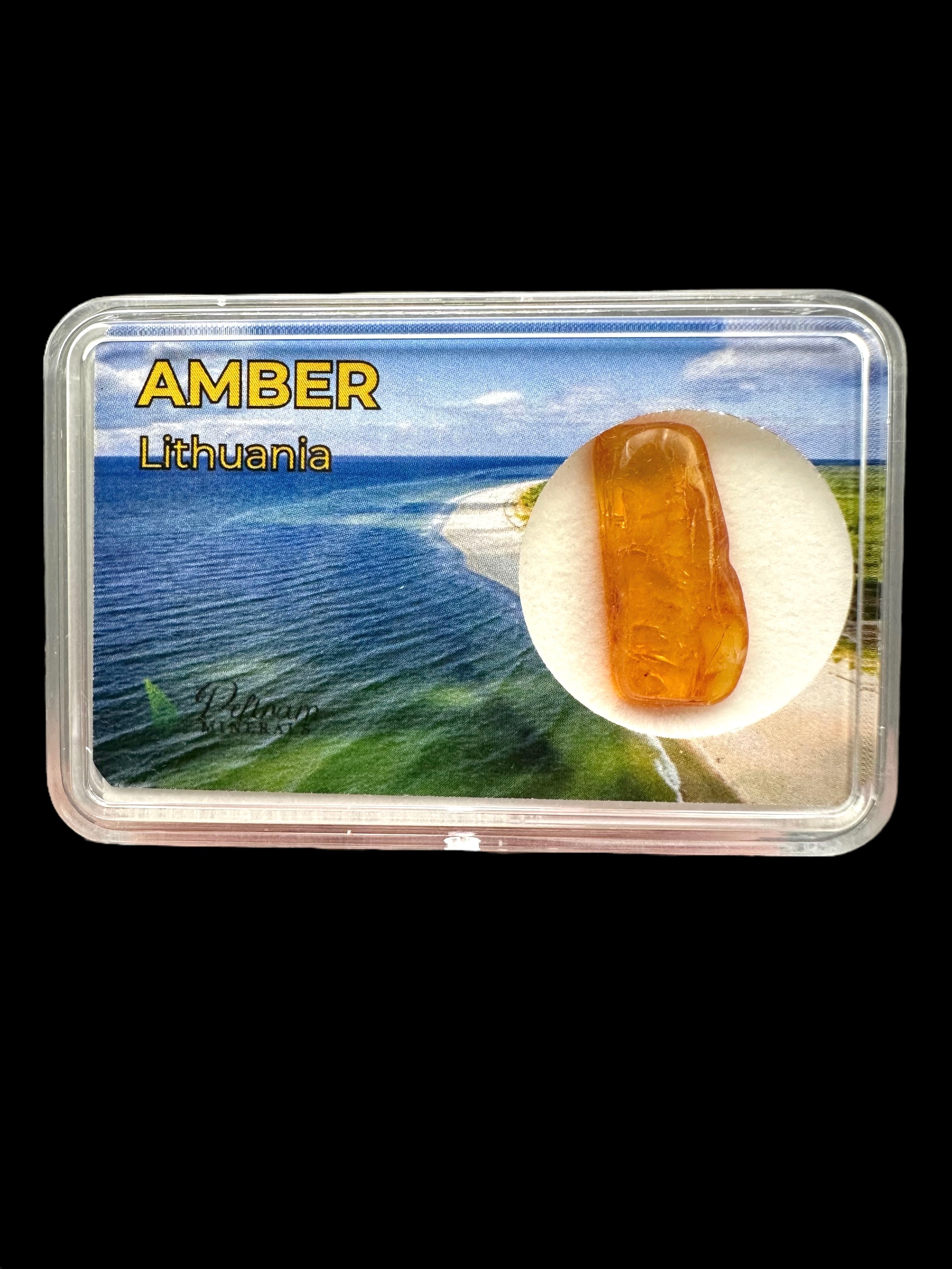 Amber in box – Lithuania