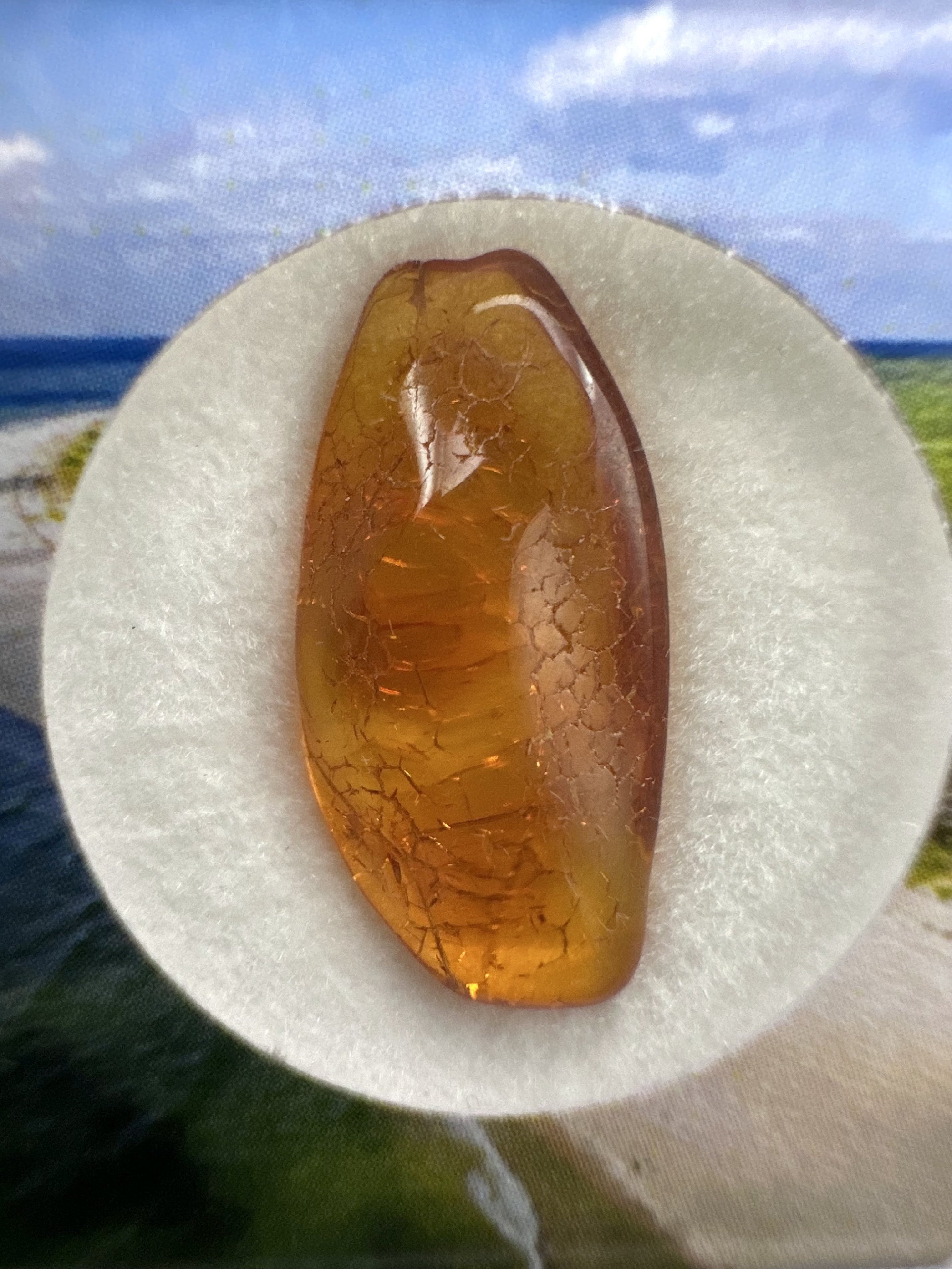 Amber in box – Lithuania - JN169