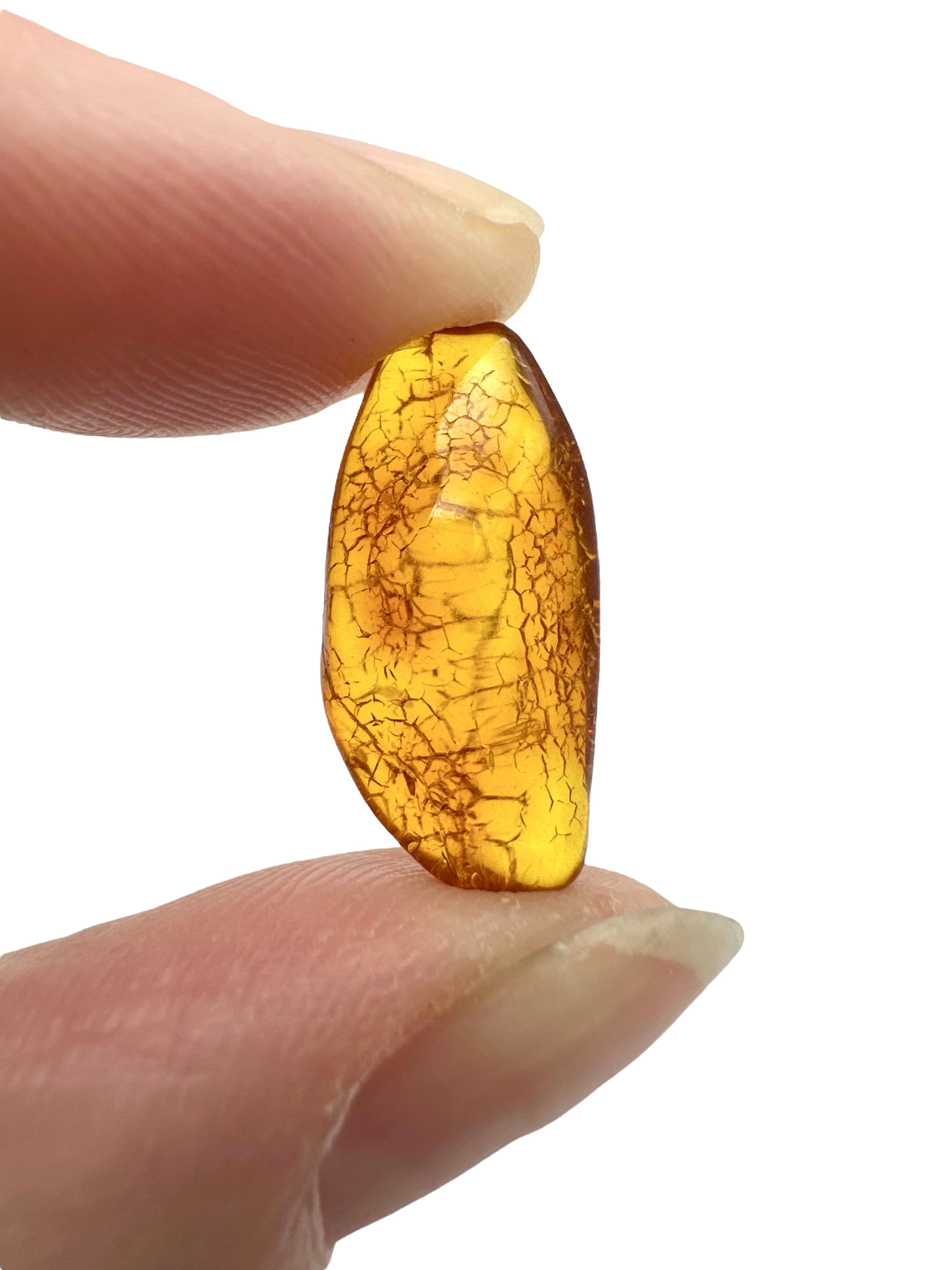 Amber in box – Lithuania - JN169