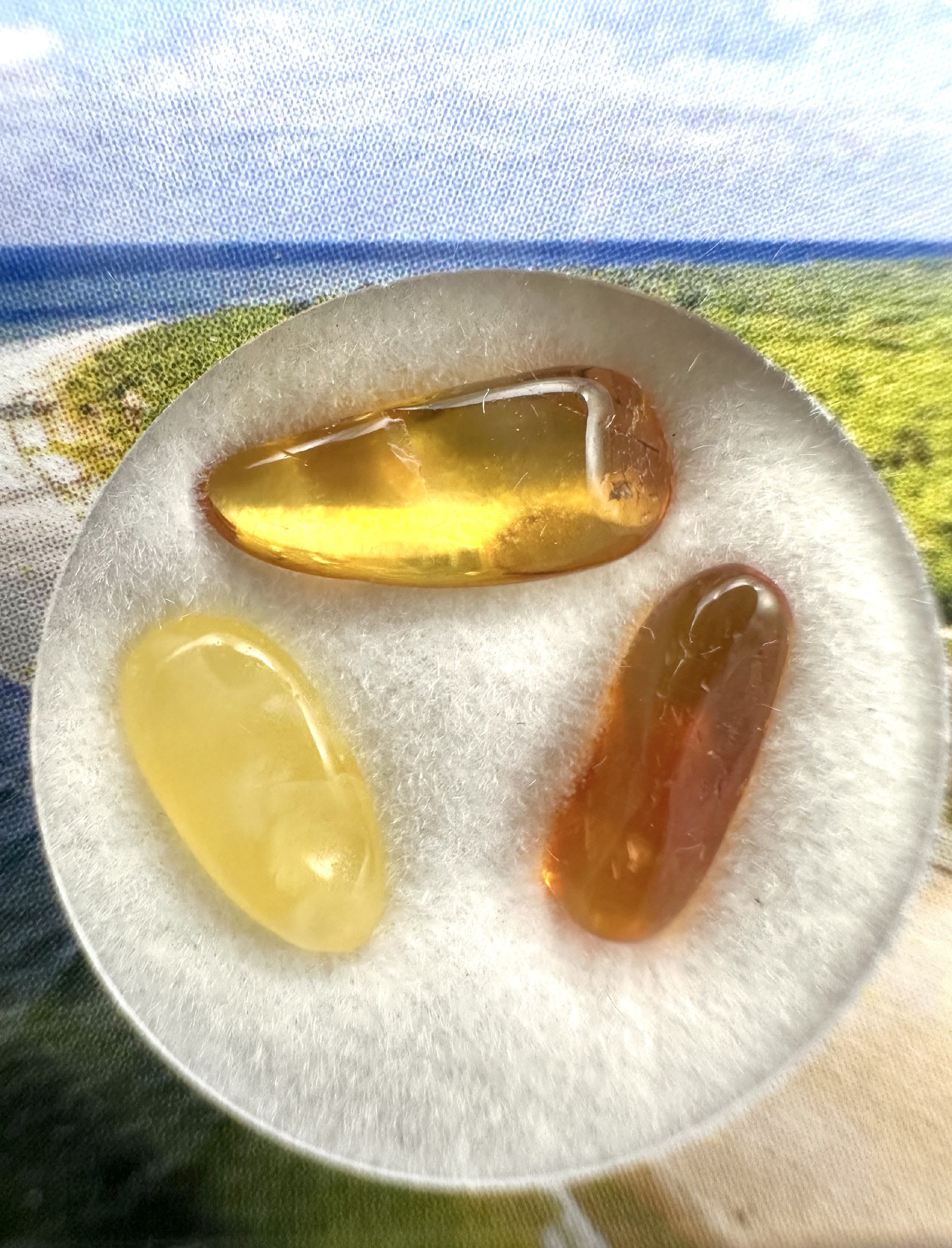 Amber in box – Lithuania - JN170