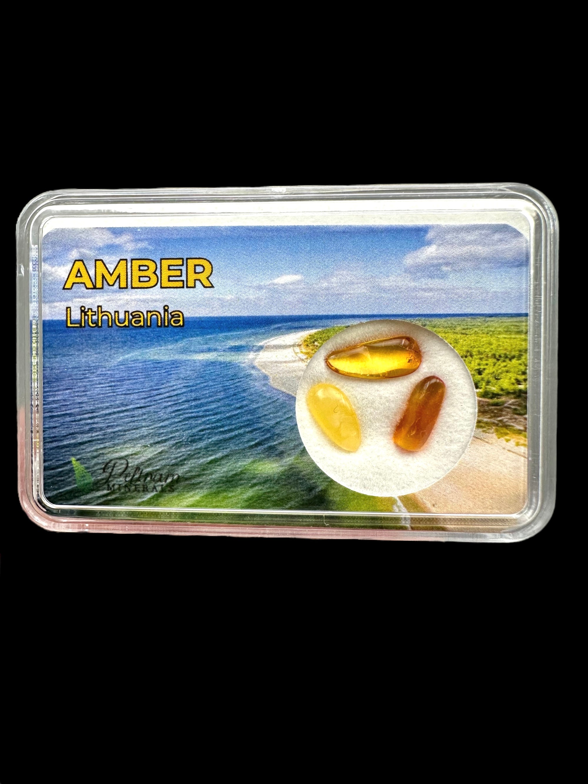 Amber in box – Lithuania