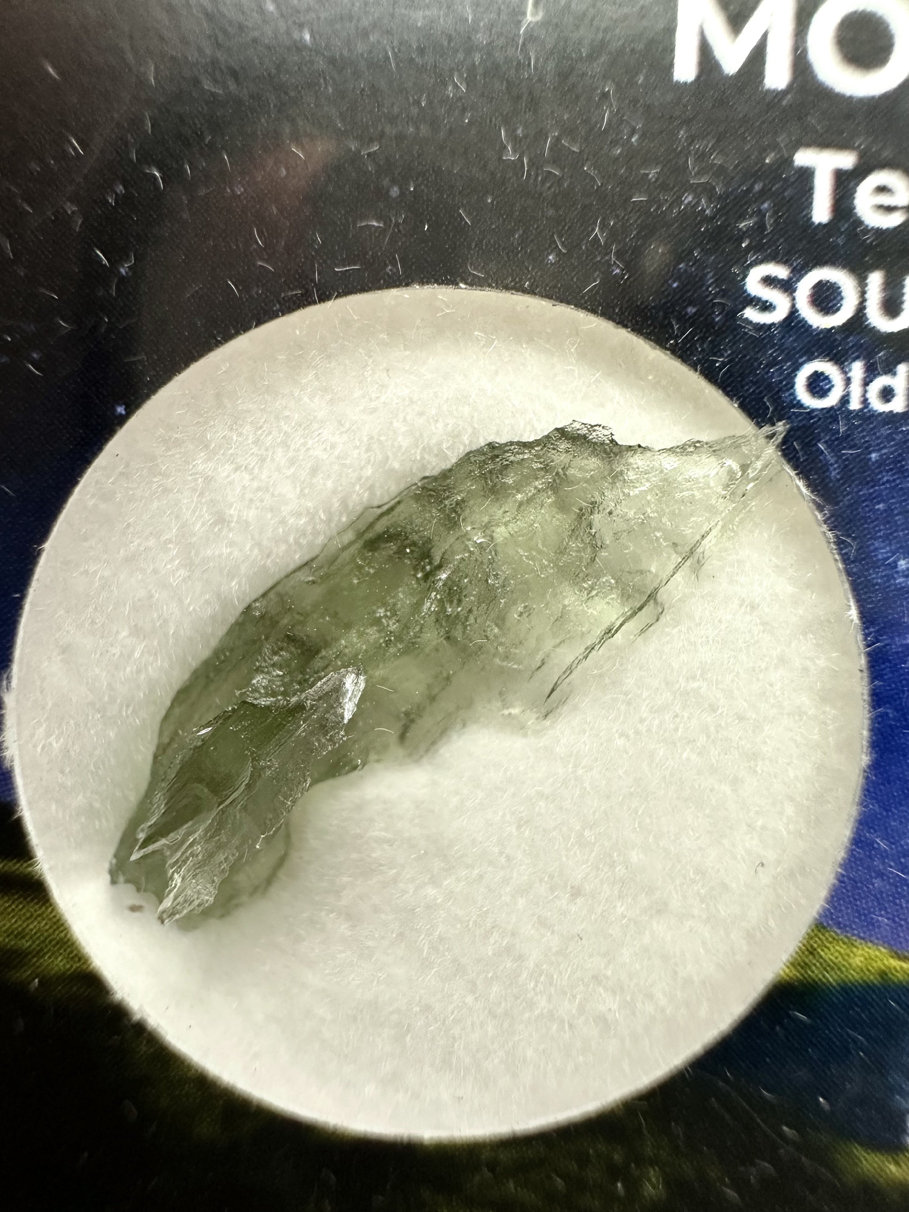 Moldavite in box - Nesmen - VVK42
