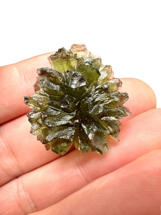Moldavite – Besednice Jezkovna – 8,4g – V1403