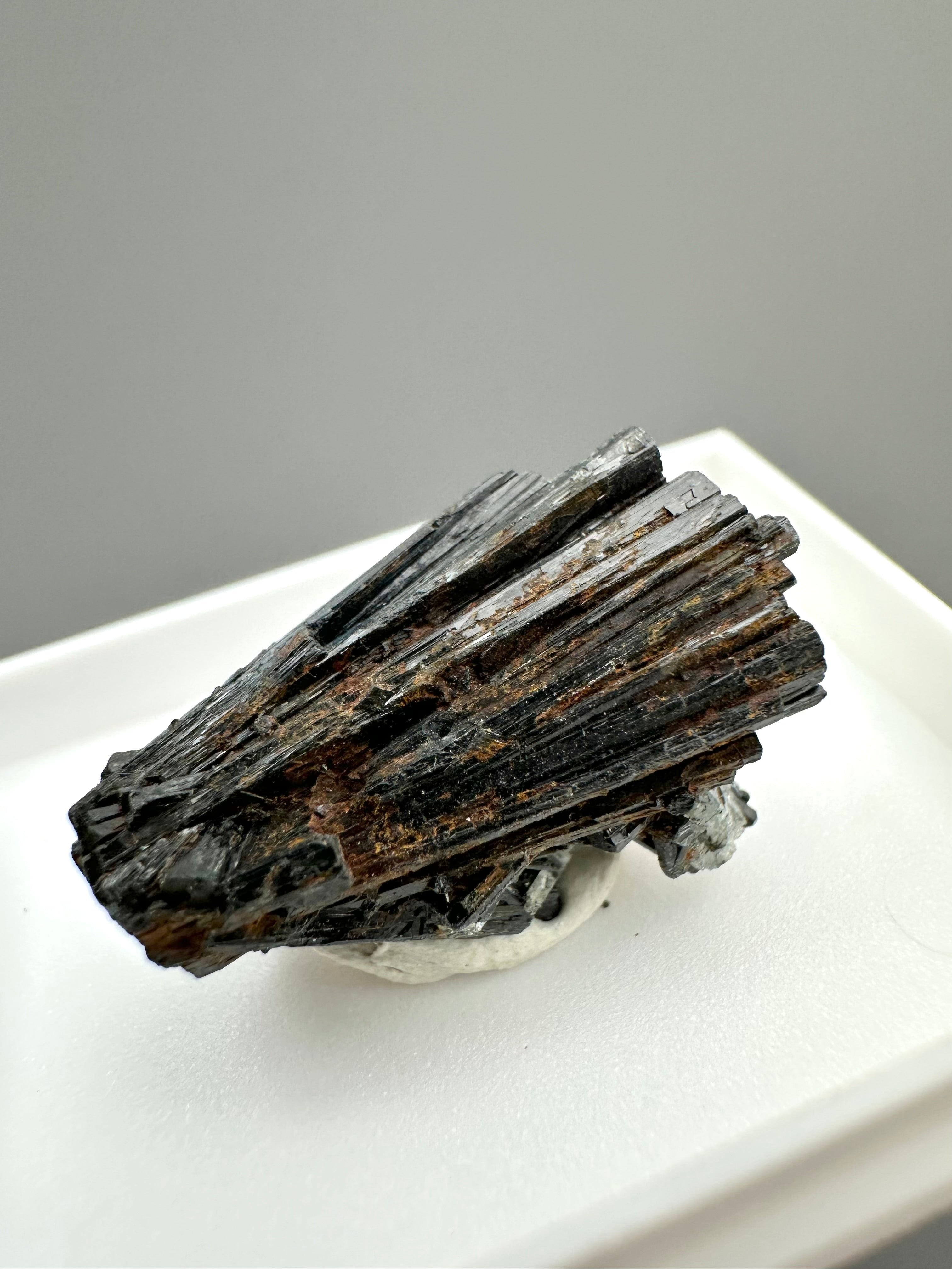 Schorl – Erongo, Namibia - MVK424