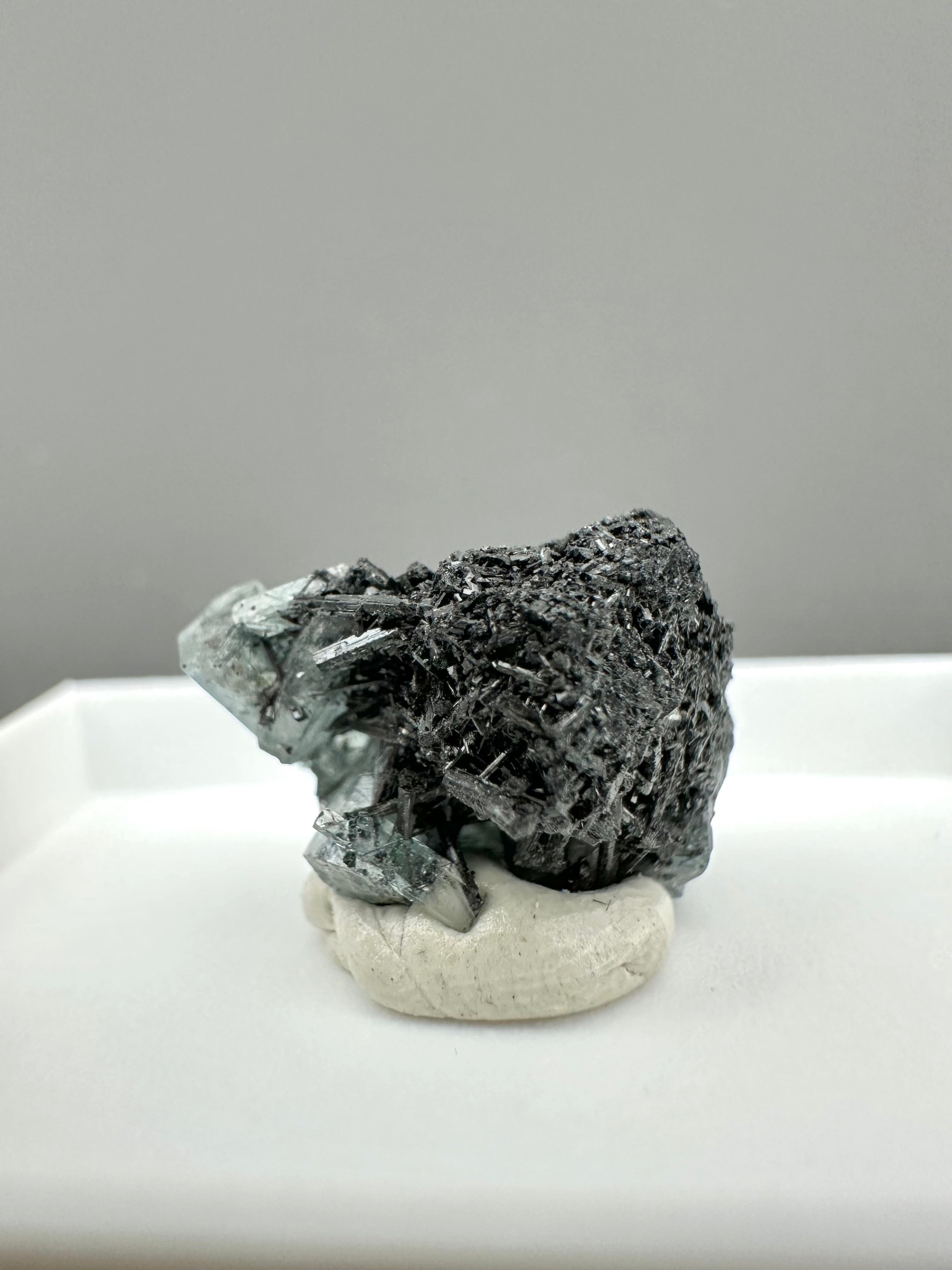 Schorl – Erongo, Namibia - MVK425