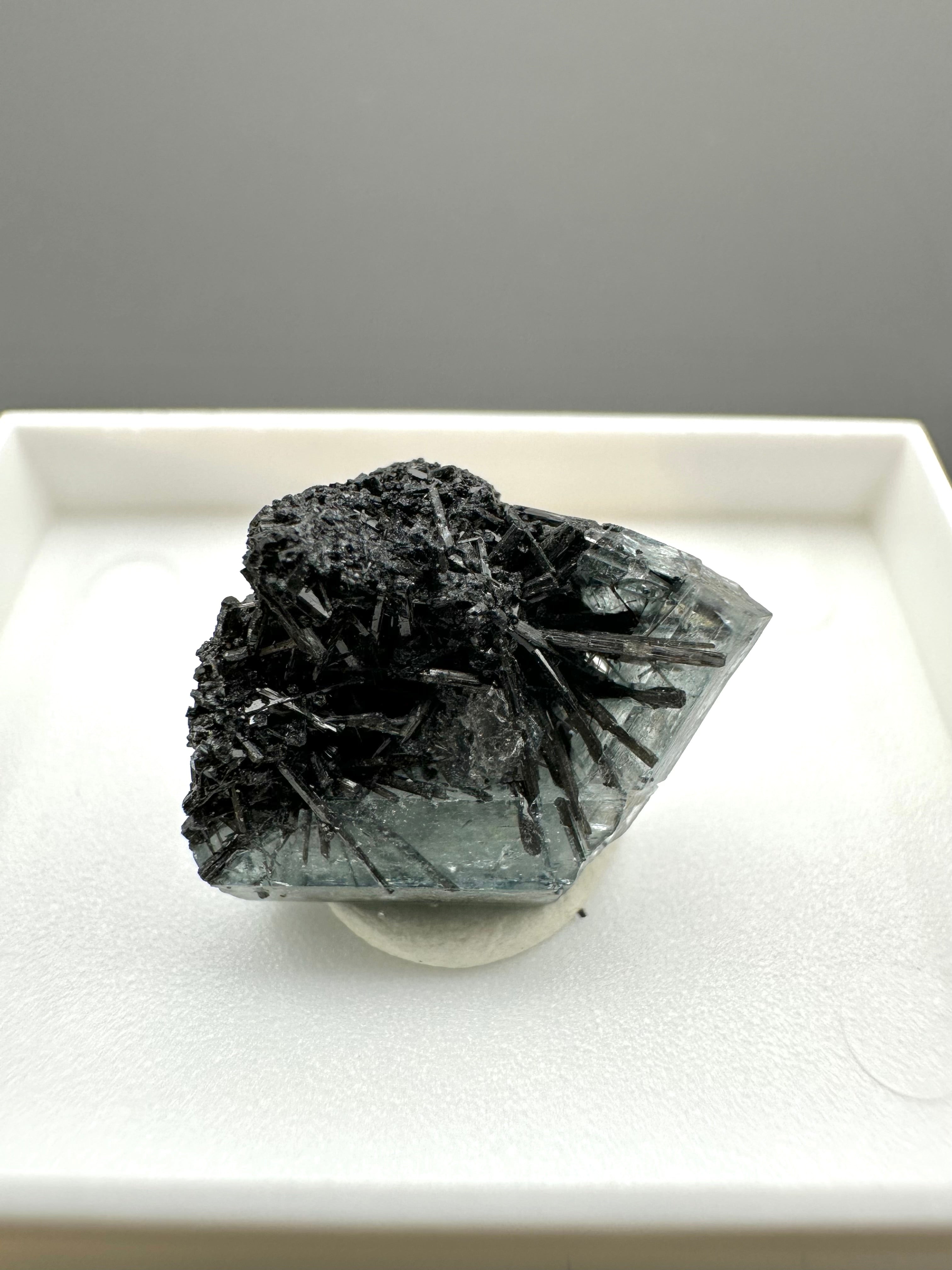 Schorl – Erongo, Namibia - MVK425