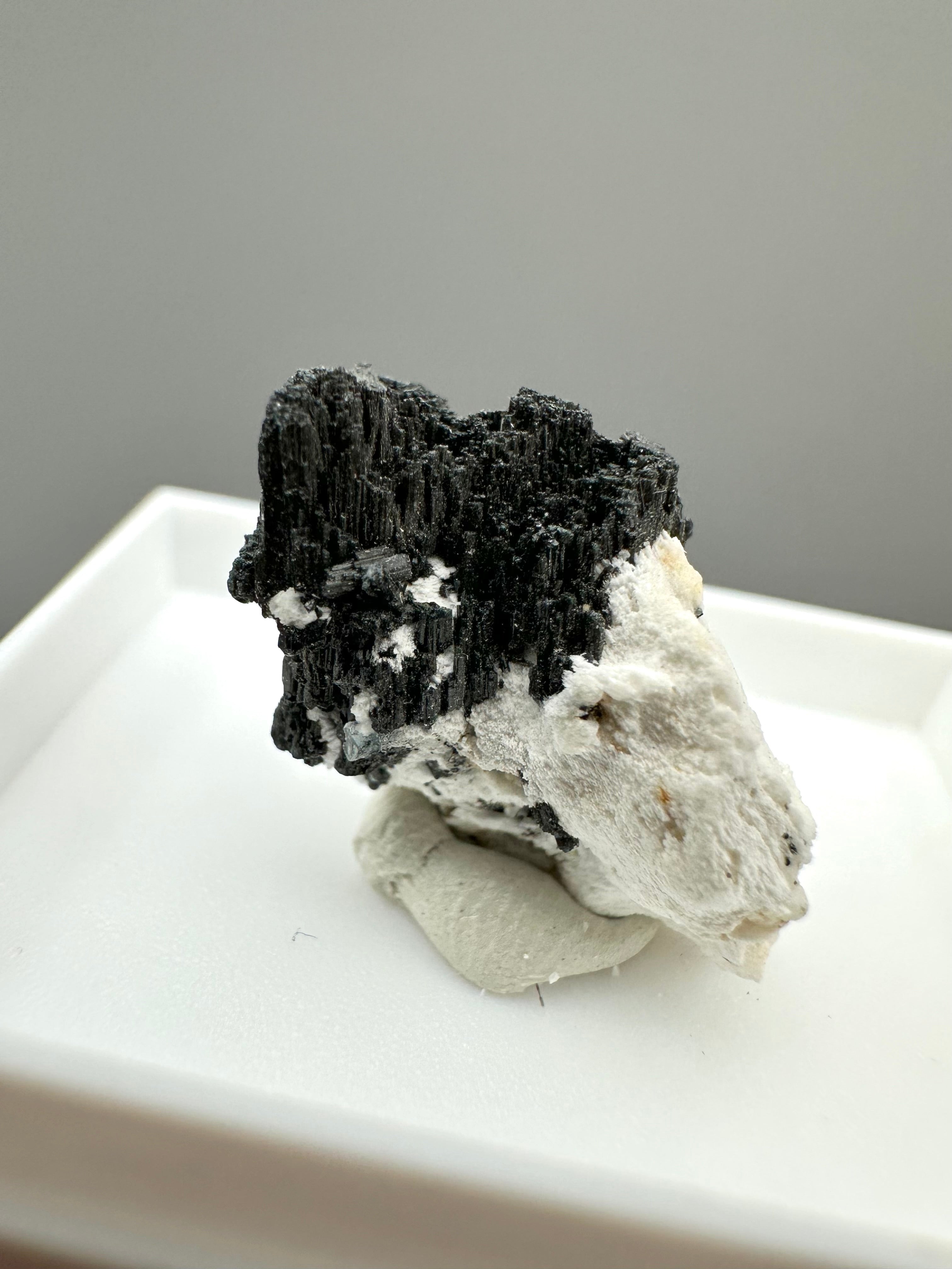 Schorl – Erongo, Namibia - MVK427